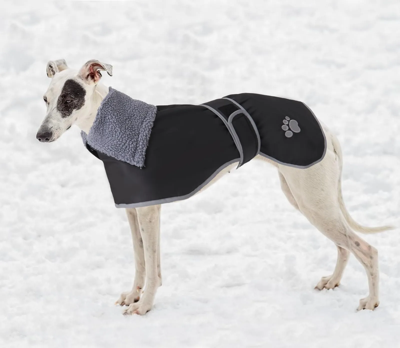 Geyecete Cappotto Impermeabile in Pile per Levrieri, Whippet e Lurcher - Nero - XXL - immagine 6