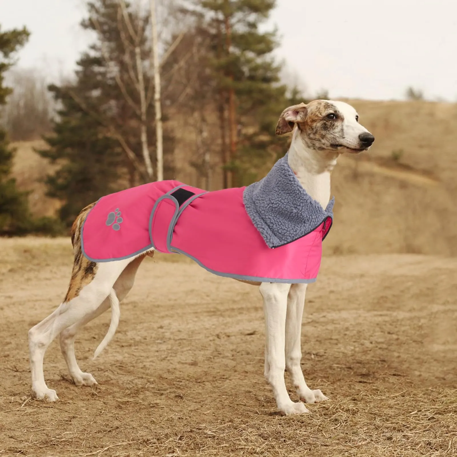 Geyecete Cappotto Impermeabile in Pile per Levrieri, Whippet e Lurcher - Rosa - M - immagine 5