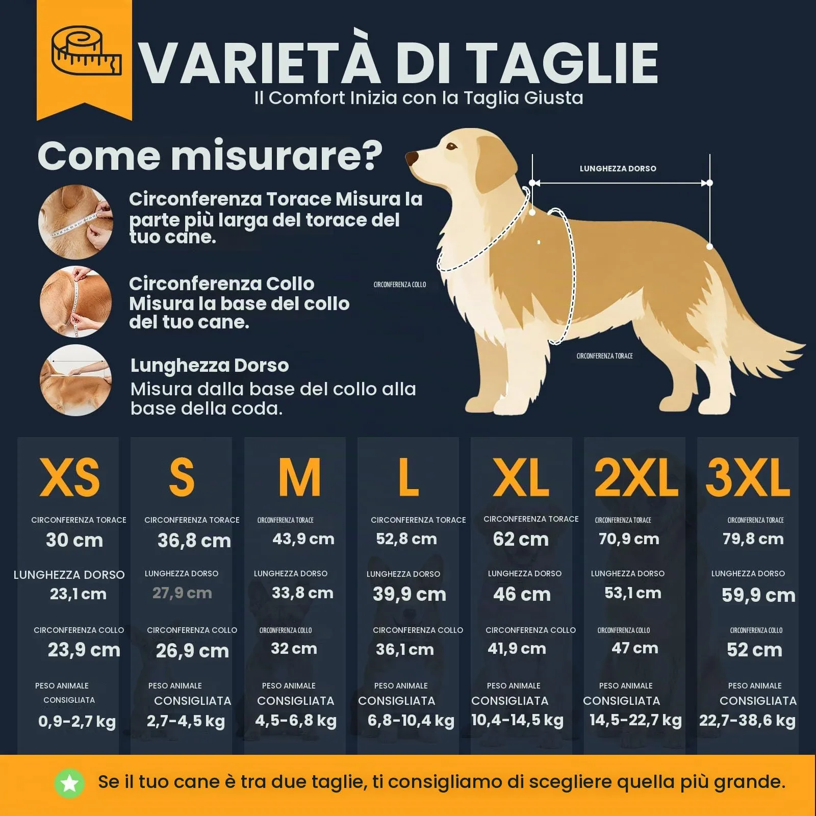 Queenmore Maglione per Cani in Acrilico, Rosa, XL - immagine 5