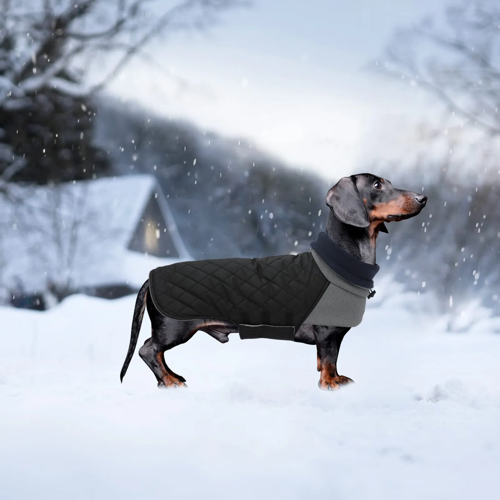 Geyecete Cappotto Invernale Impermeabile e Antivento per Bassotto, Nero, XS - immagine 6
