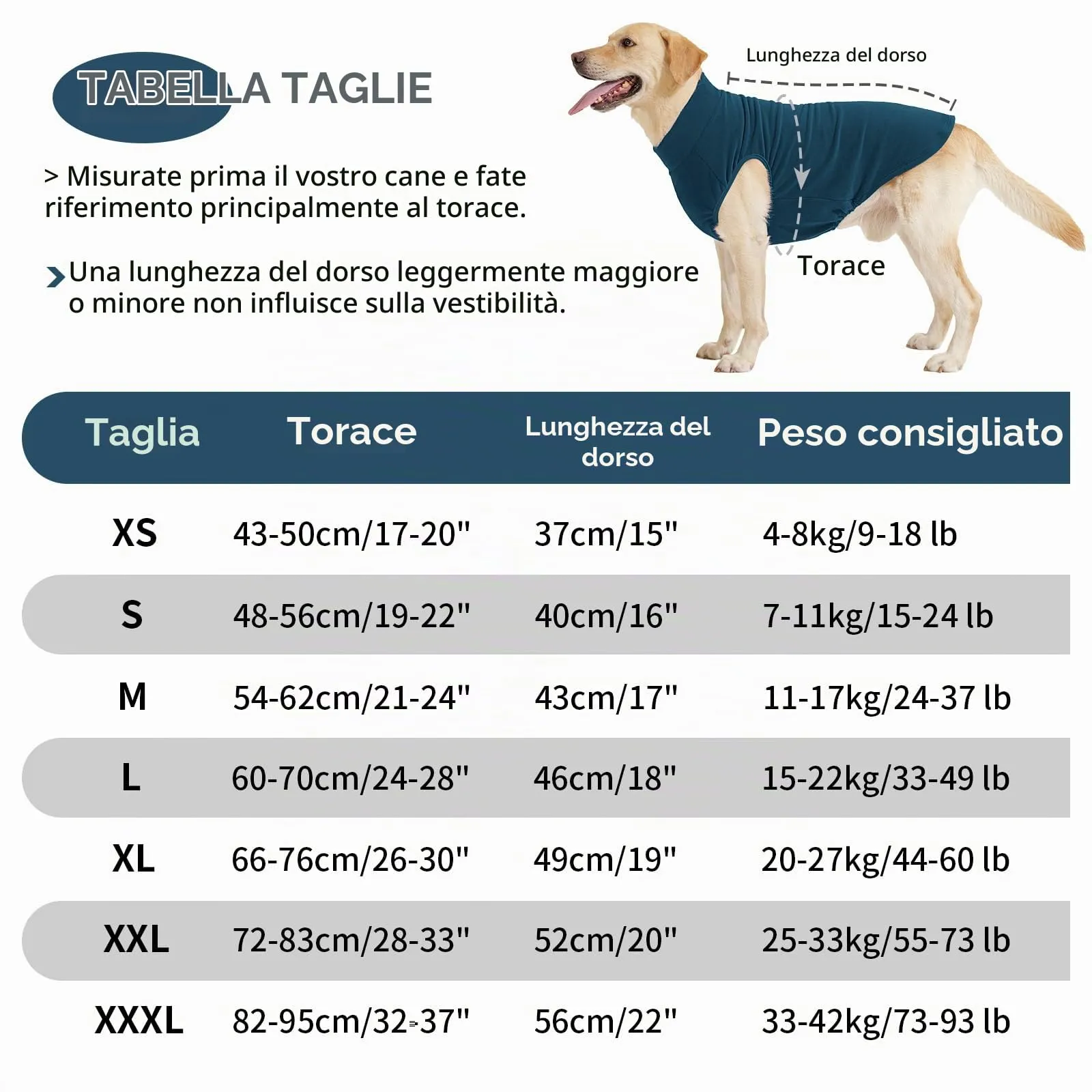 HEYWEAN Maglione in pile per cani, Cappotto invernale elasticizzato, Taglia M, Turchese - immagine 2