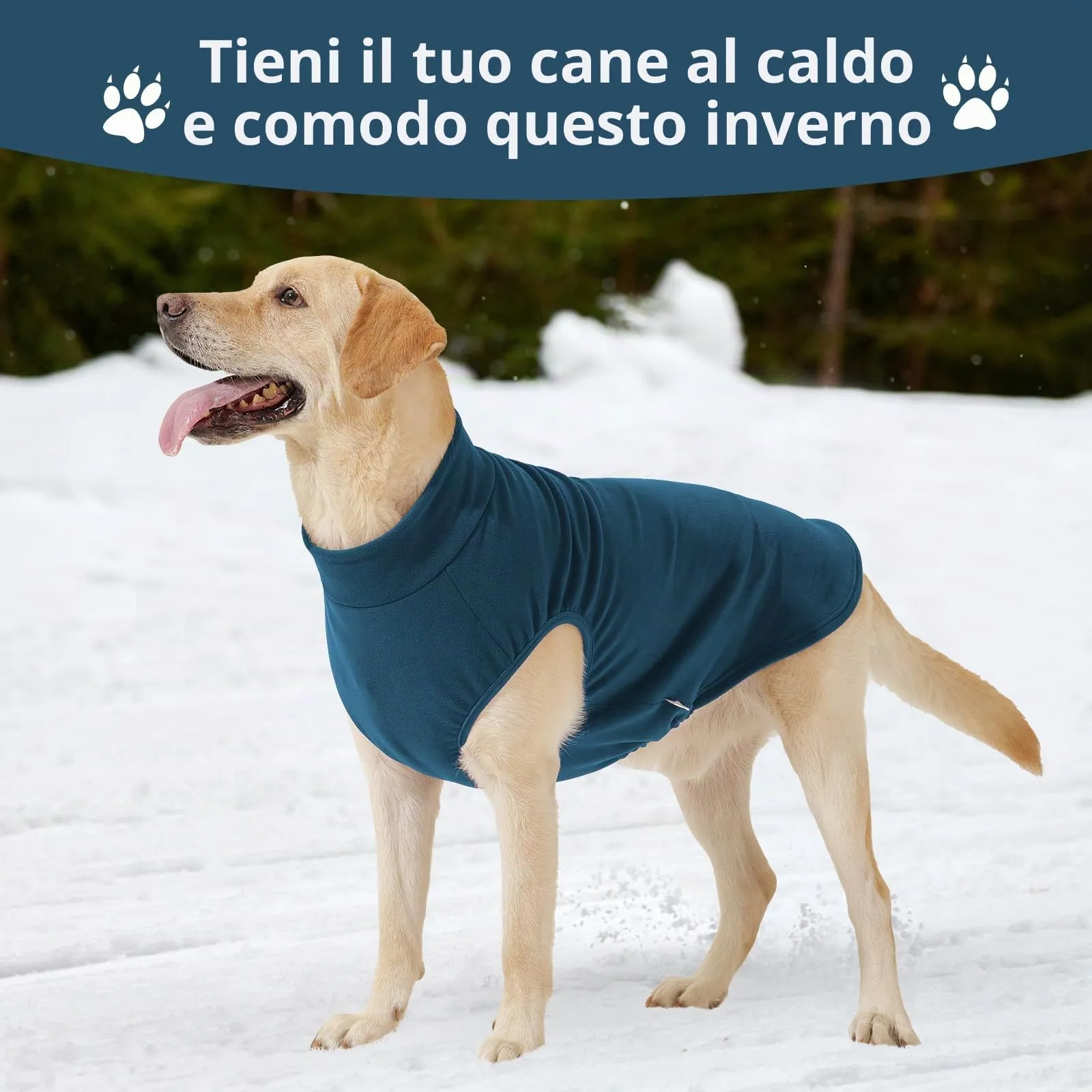 HEYWEAN Maglione in pile per cani, Cappotto invernale elasticizzato, Taglia M, Turchese - immagine 5