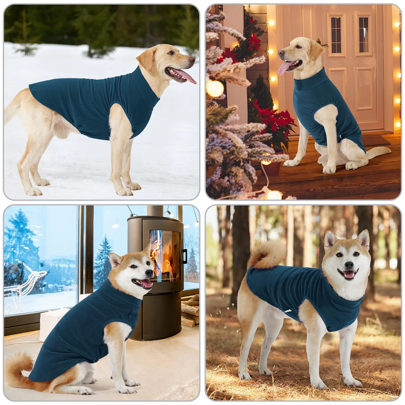 HEYWEAN Maglione in pile per cani, Cappotto invernale elasticizzato, Taglia M, Turchese - immagine 7
