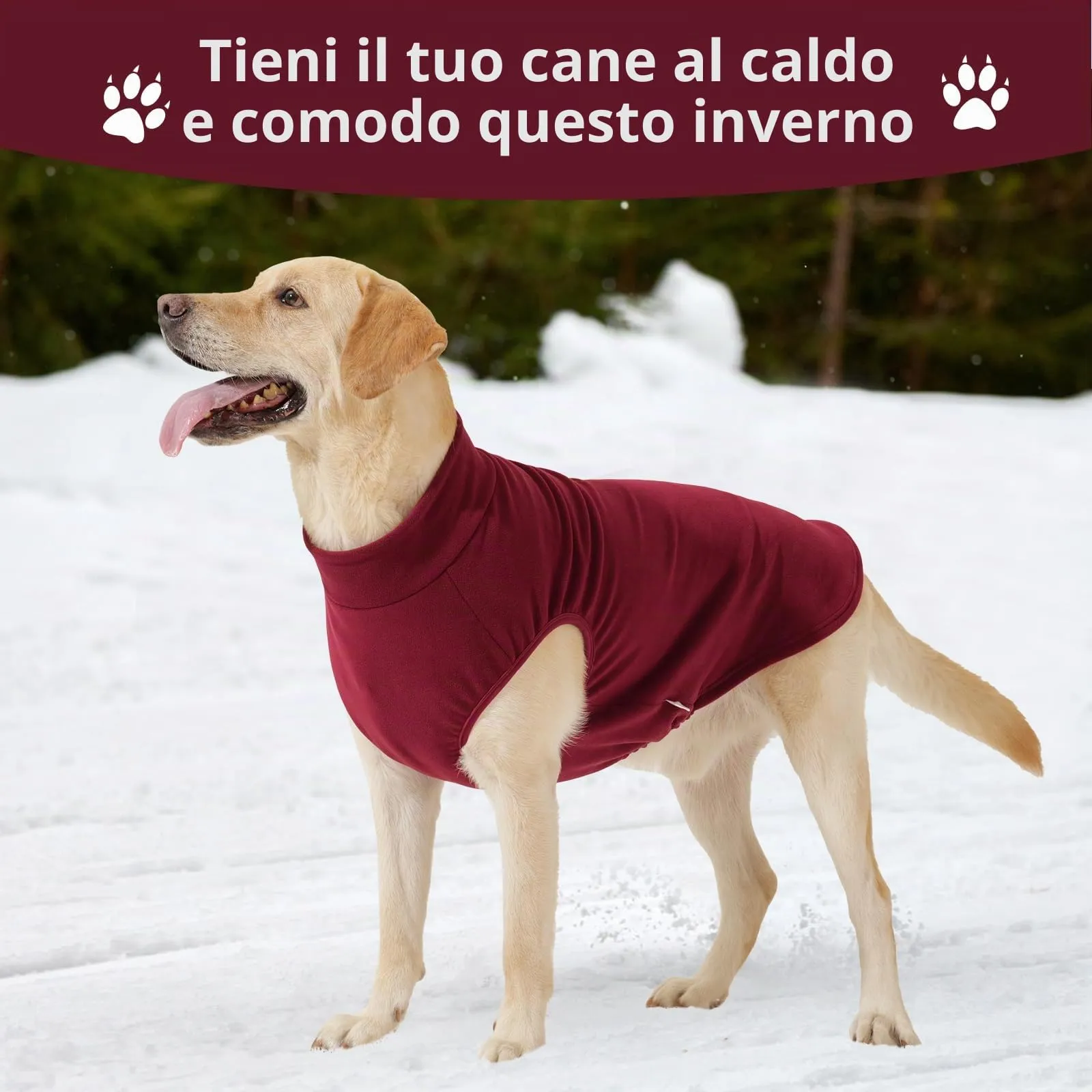 HEYWEAN Maglione in pile per cani, Cappotto invernale elasticizzato, Taglia M, Rosso - immagine 5