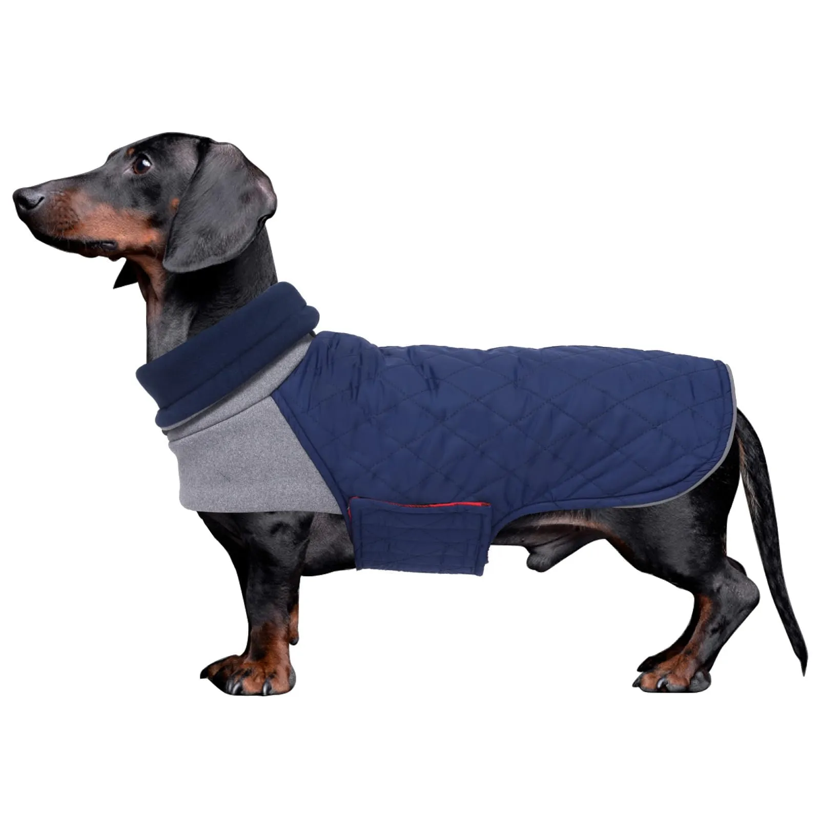 Geyecete Cappotto invernale impermeabile e antivento per Bassotto, Blu scuro, XS - immagine 1