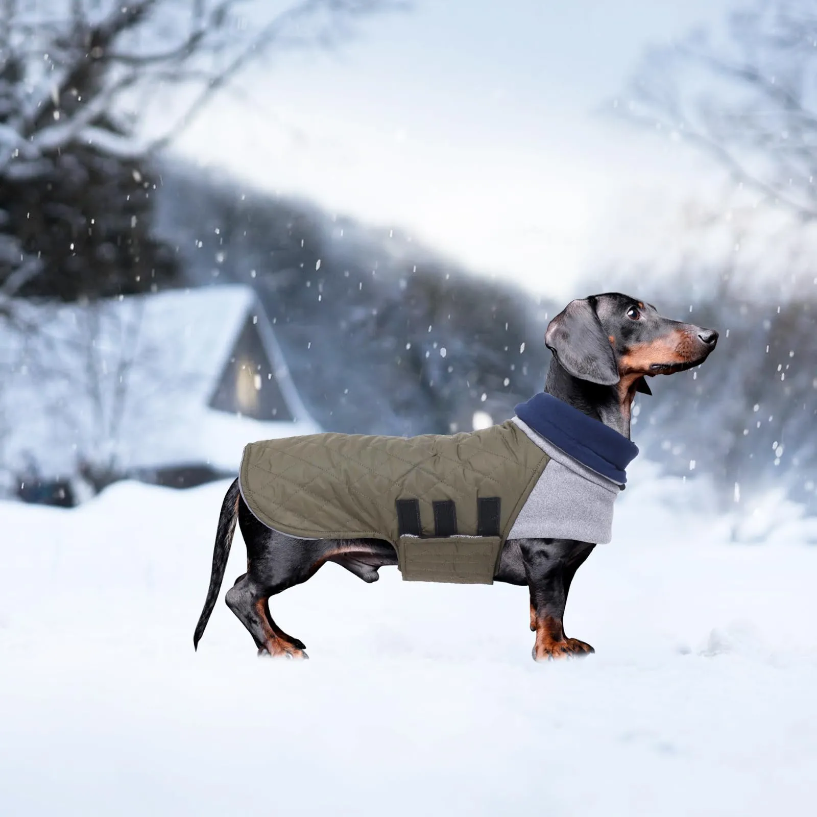 Geyecete Cappotto invernale impermeabile e antivento per Bassotto, Verde, L - immagine 5