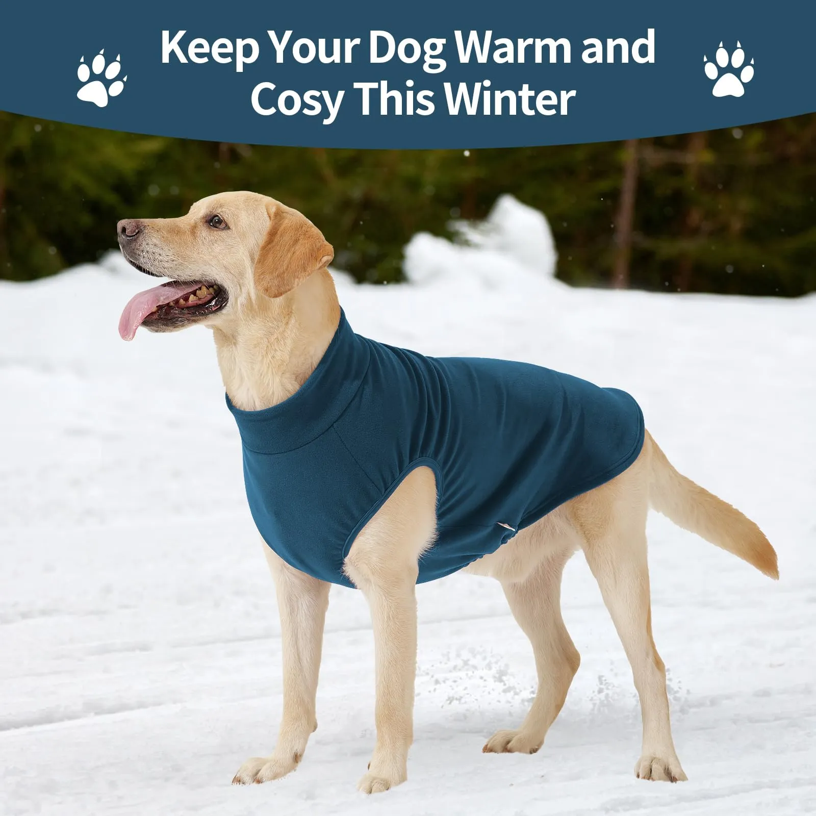 HEYWEAN Maglione in pile per cani, Cappotto invernale elasticizzato, Turchese, Taglia S - immagine 5