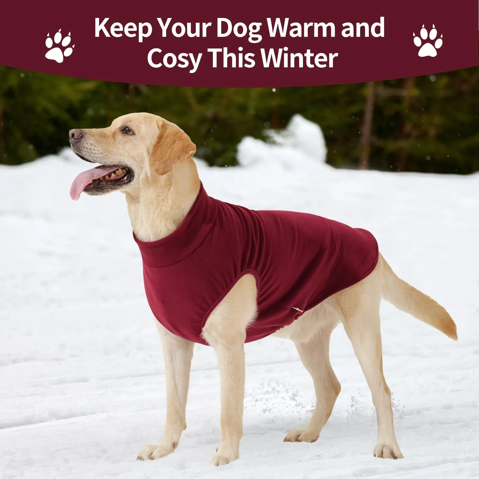 HEYWEAN Maglione in pile per cani, Cappotto invernale elasticizzato, Rosso, XL - immagine 5