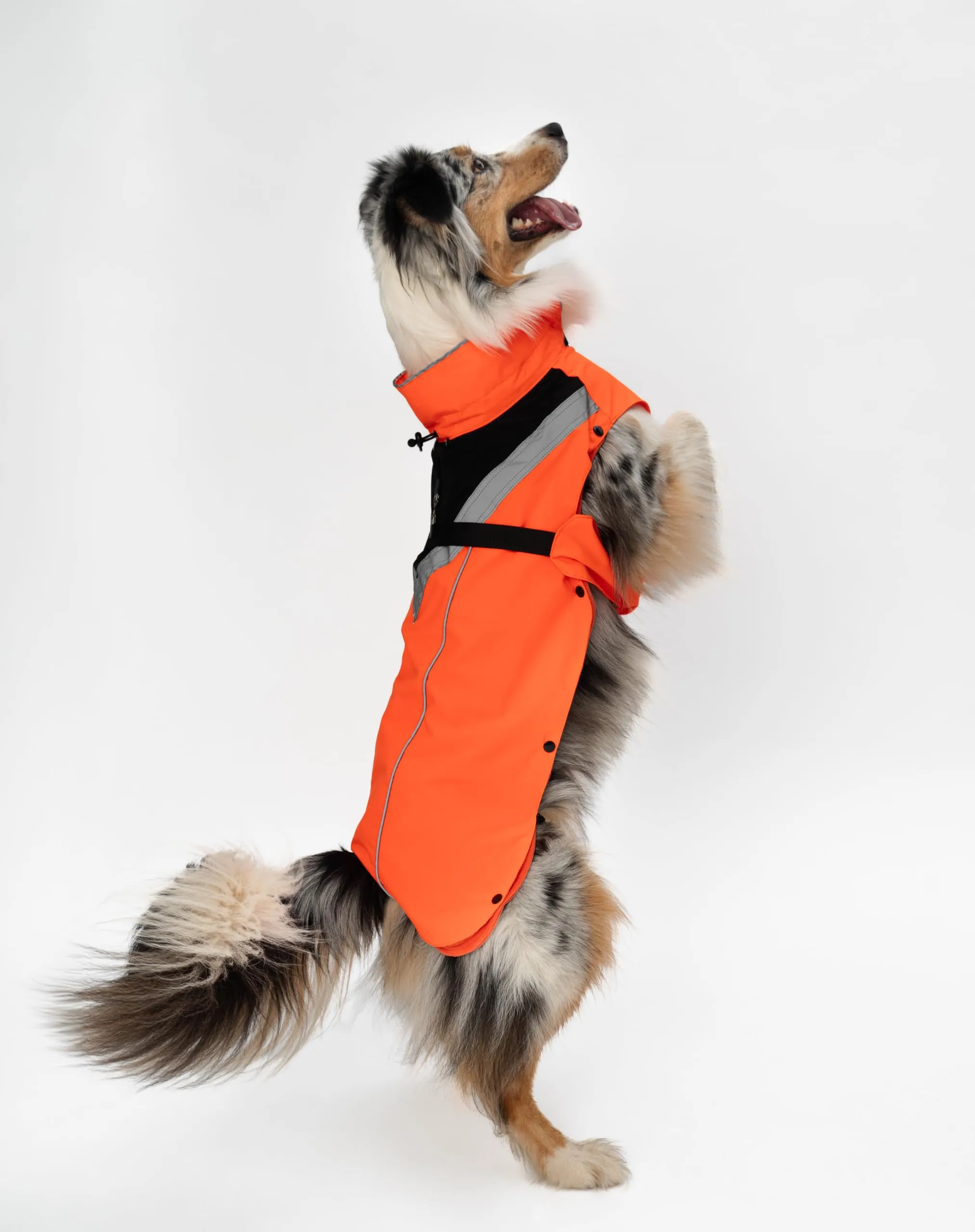 DOGOPAL Cappotto Impermeabile per Cani 2in1 All Weather con Fodera in Pile Rimovibile e Dettagli Riflettenti (Arancione, XL) - immagine 14