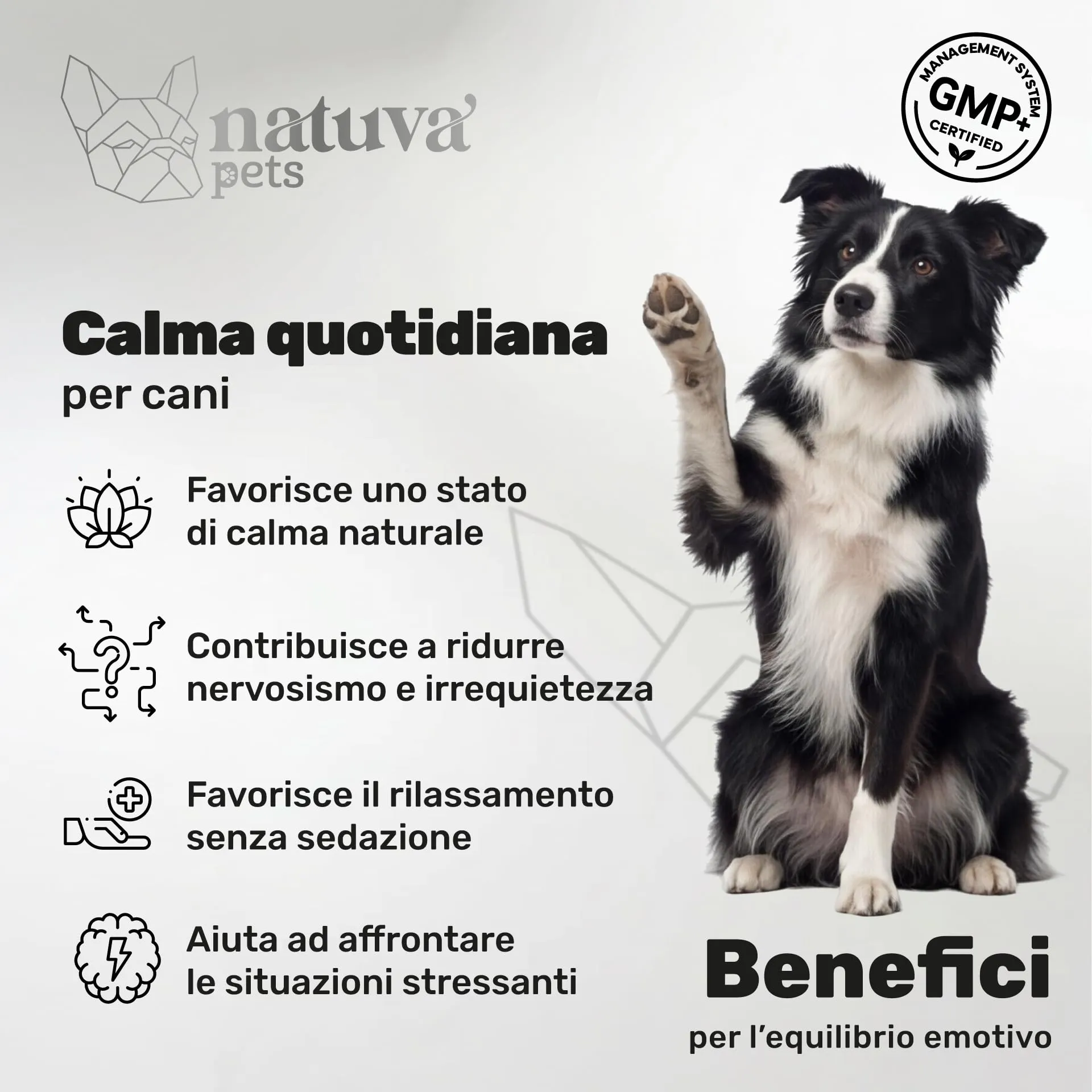 Natuva Pets Calmante per Cani, 120 Bocconcini Masticabili Antistress - immagine 2
