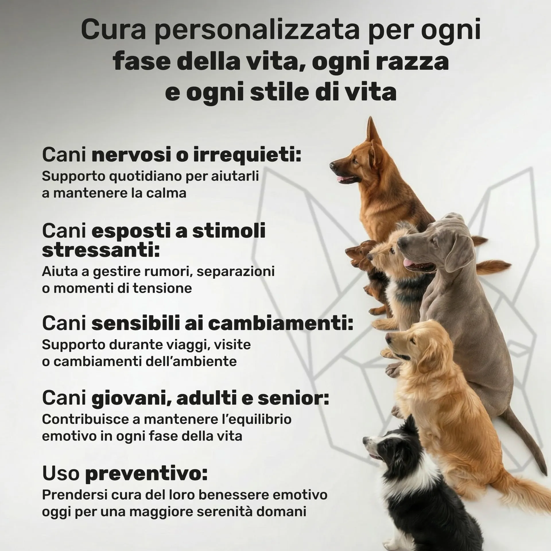 Natuva Pets Calmante per Cani, 120 Bocconcini Masticabili Antistress - immagine 8