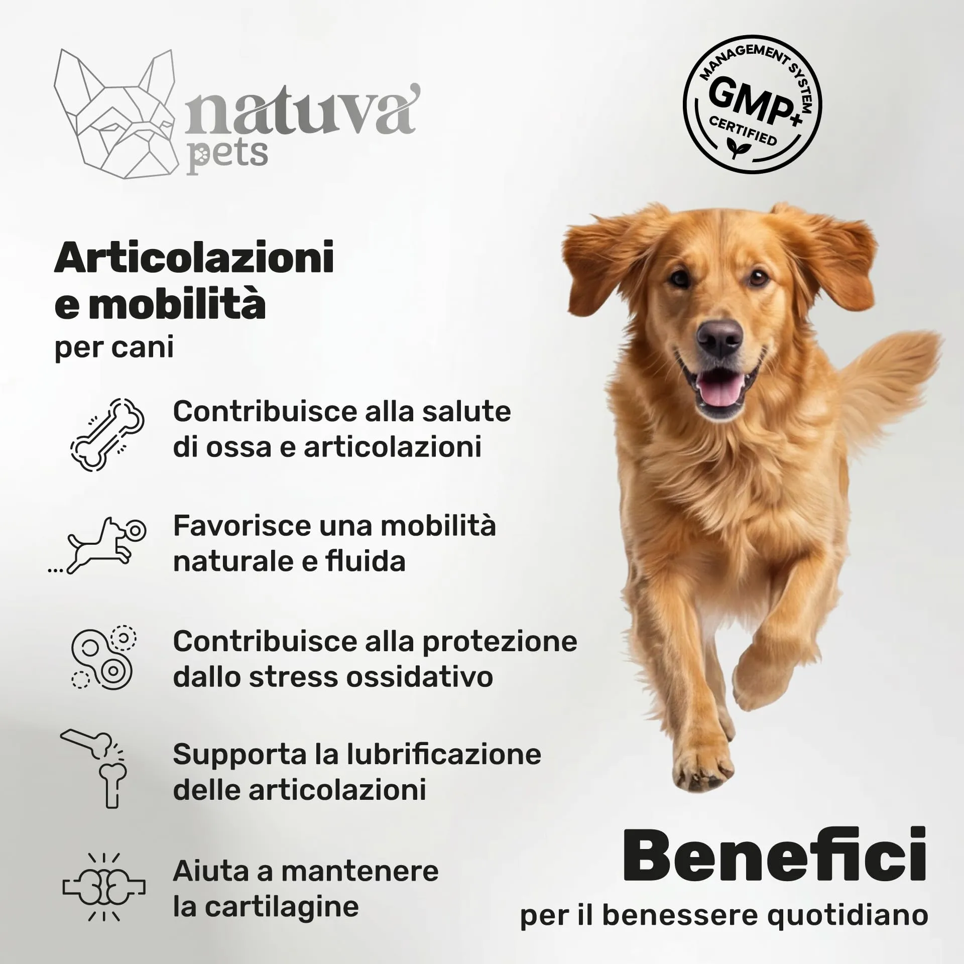 Natuva Pets Integratore Articolazioni Cane - 120 Masticabili Naturali Joint Care - immagine 2
