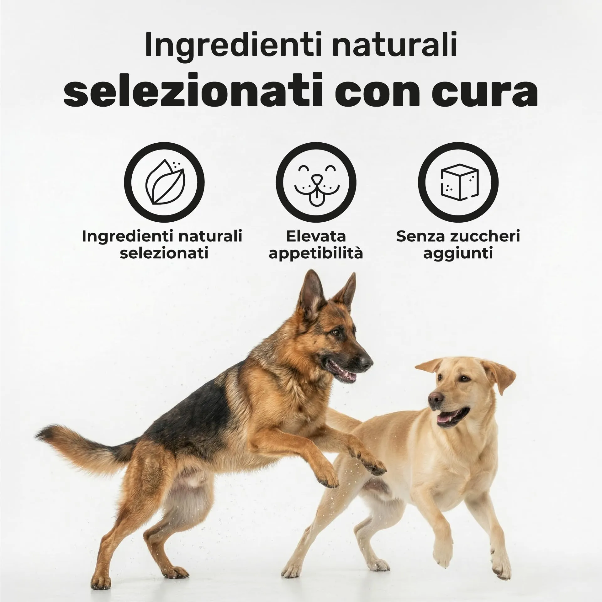 Natuva Pets Integratore Articolazioni Cane - 120 Masticabili Naturali Joint Care - immagine 7