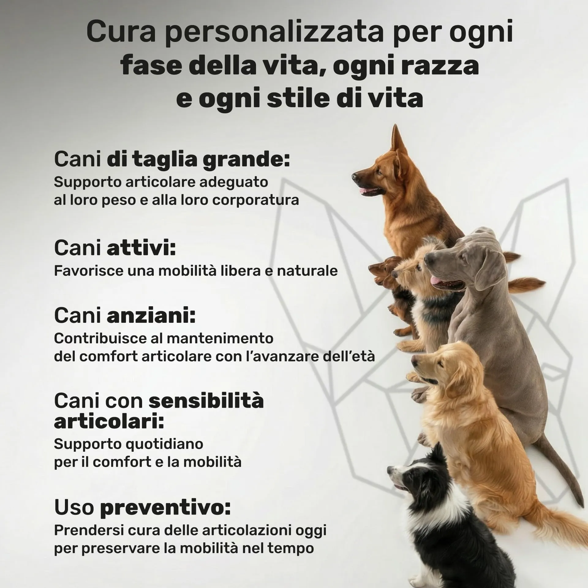 Natuva Pets Integratore Articolazioni Cane - 120 Masticabili Naturali Joint Care - immagine 8