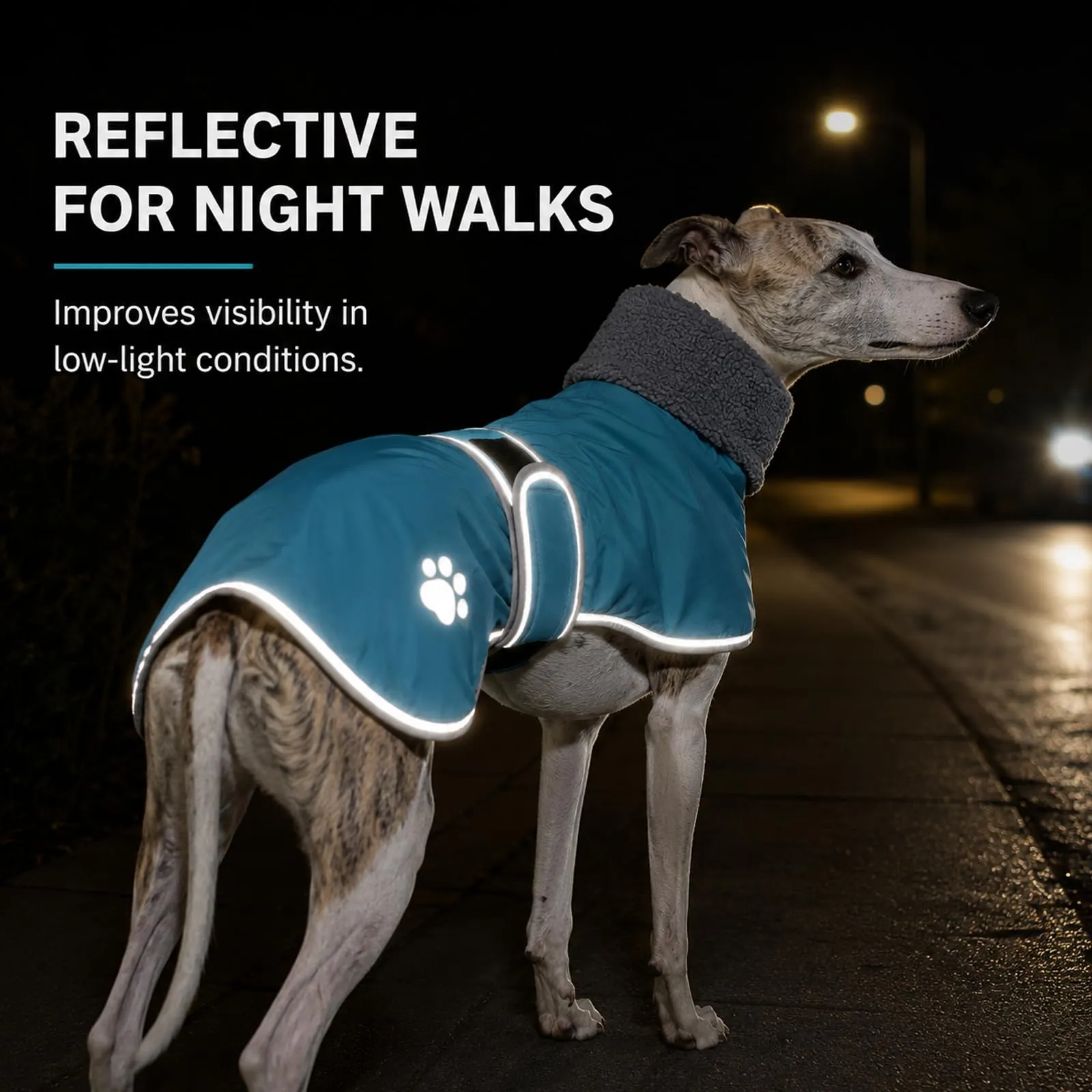 Geyecete Cappotto Invernale Impermeabile per Whippet, Blu Cielo, M - immagine 5