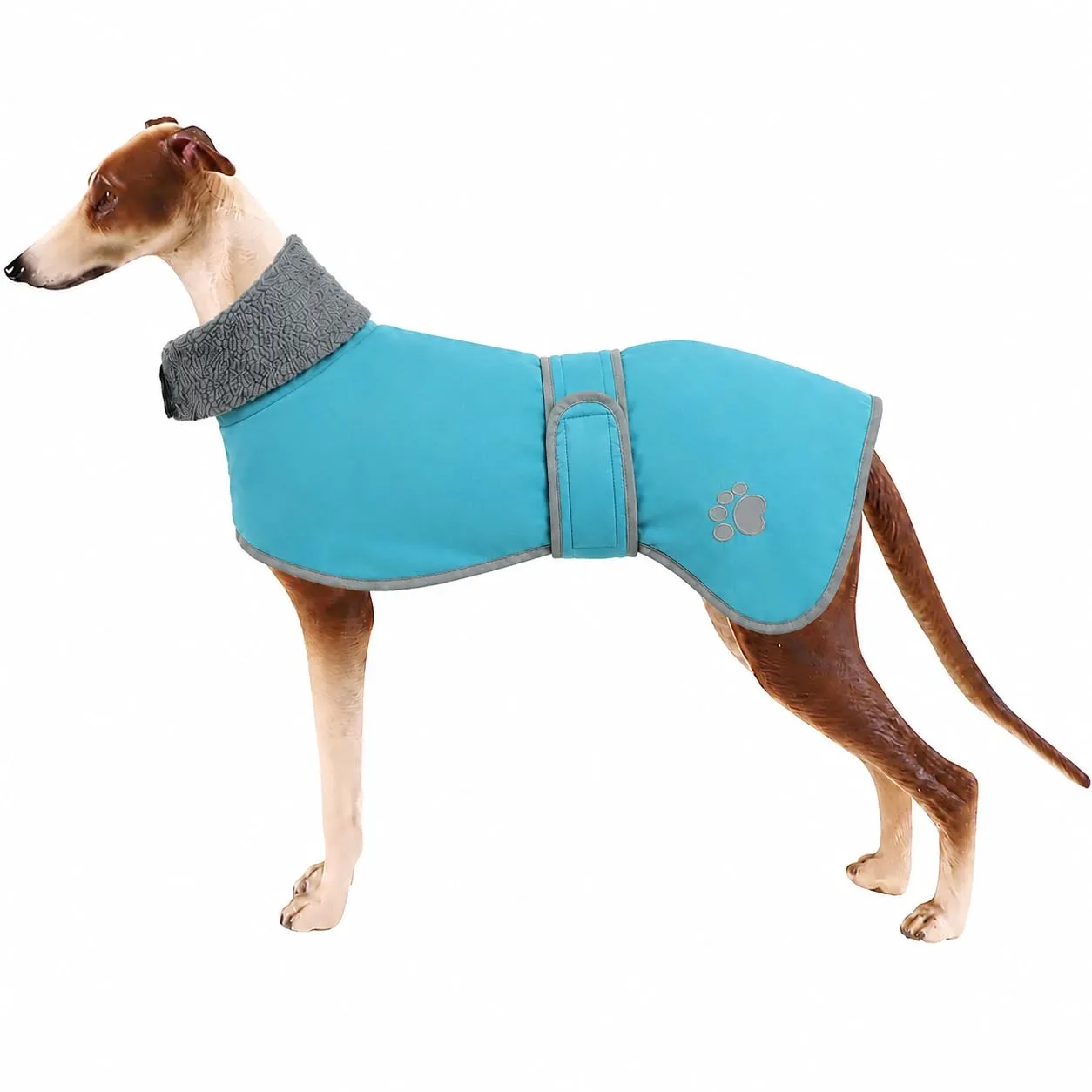 Geyecete Cappotto Impermeabile per Whippet e Levriero, Blu Cielo, 3XL - immagine 1