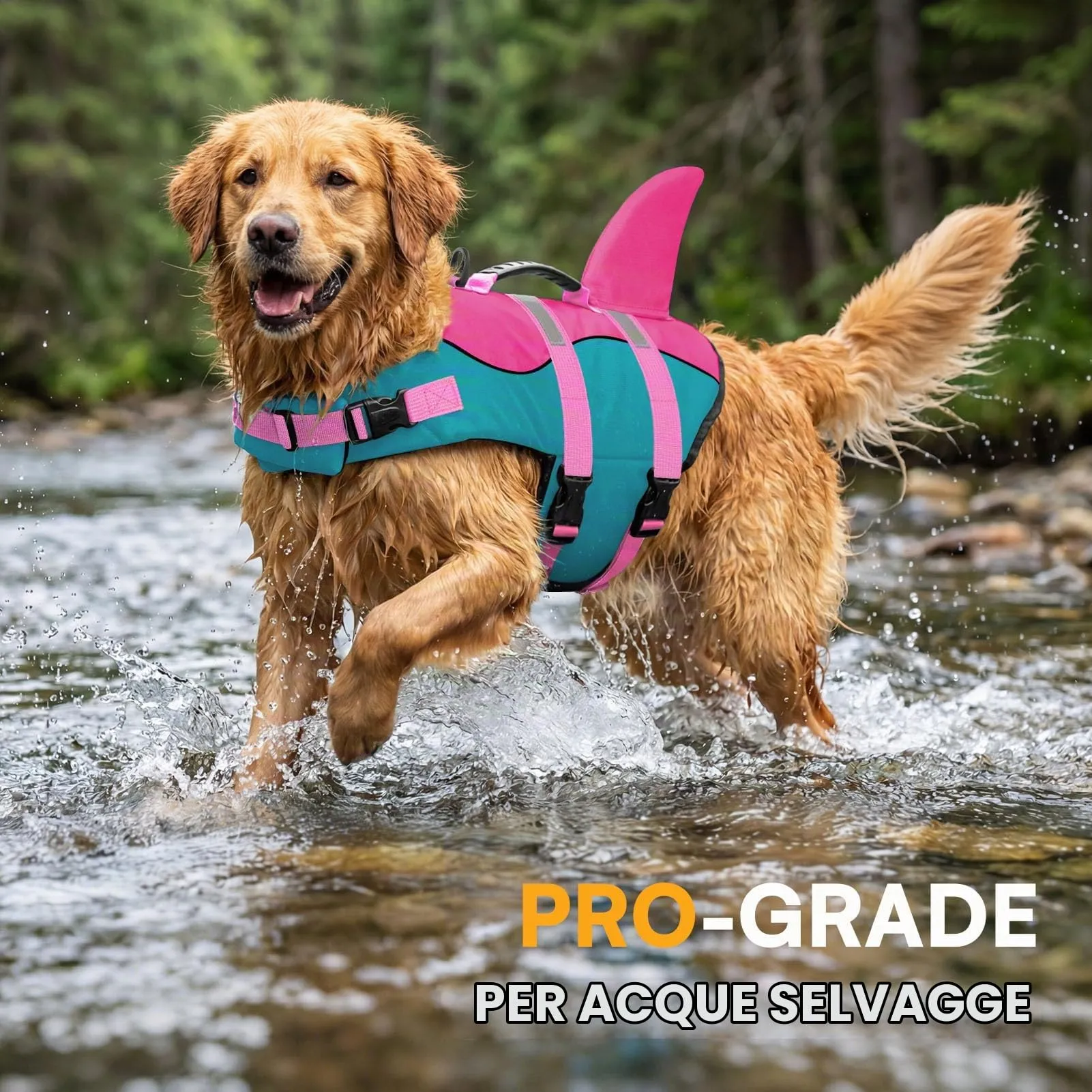 Queenmore Giubbotto Salvagente per Cani Ripstop Design Squalo, Pavone, M - immagine 6
