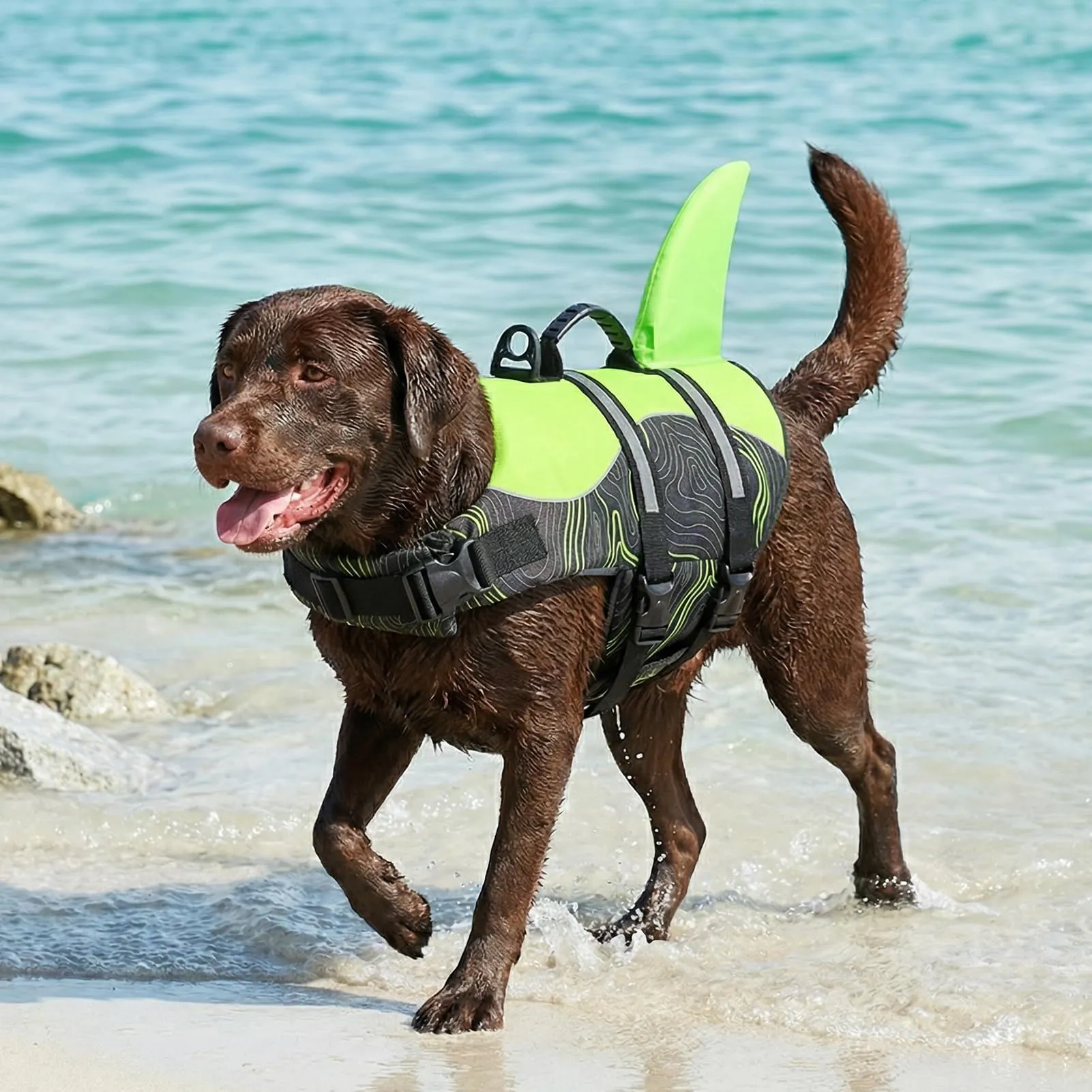 Queenmore Salvagente Per Cani Regolabile Ripstop, Greenblack, M - immagine 3