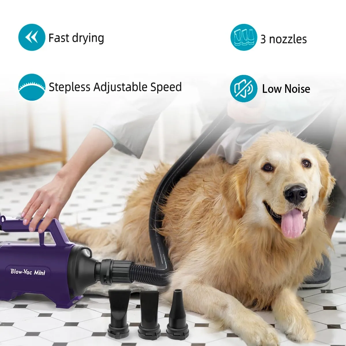 shernbao Soffiatore Asciugacapelli per Cani SMD 06P - immagine 3