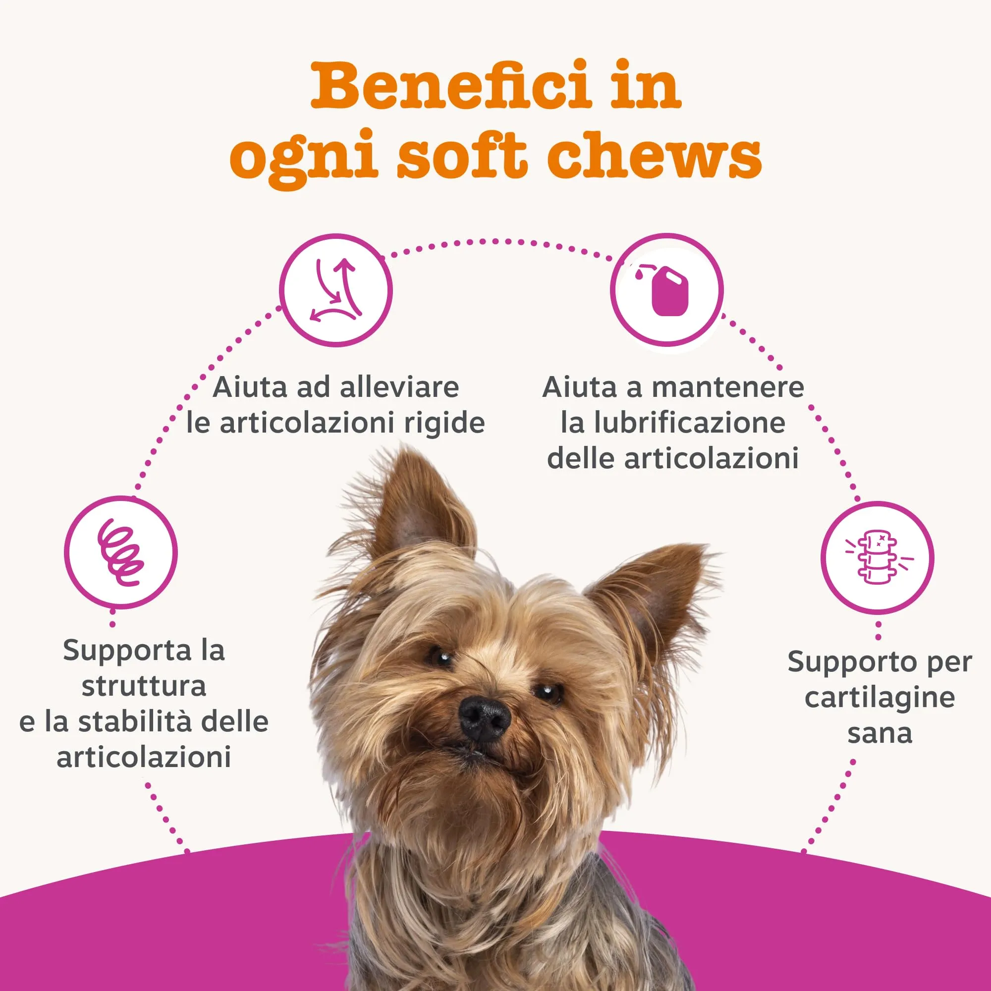 Zesty Paws Hip & Joint per Cani Anziani, Gusto Tacchino, 90 Bocconcini - immagine 3