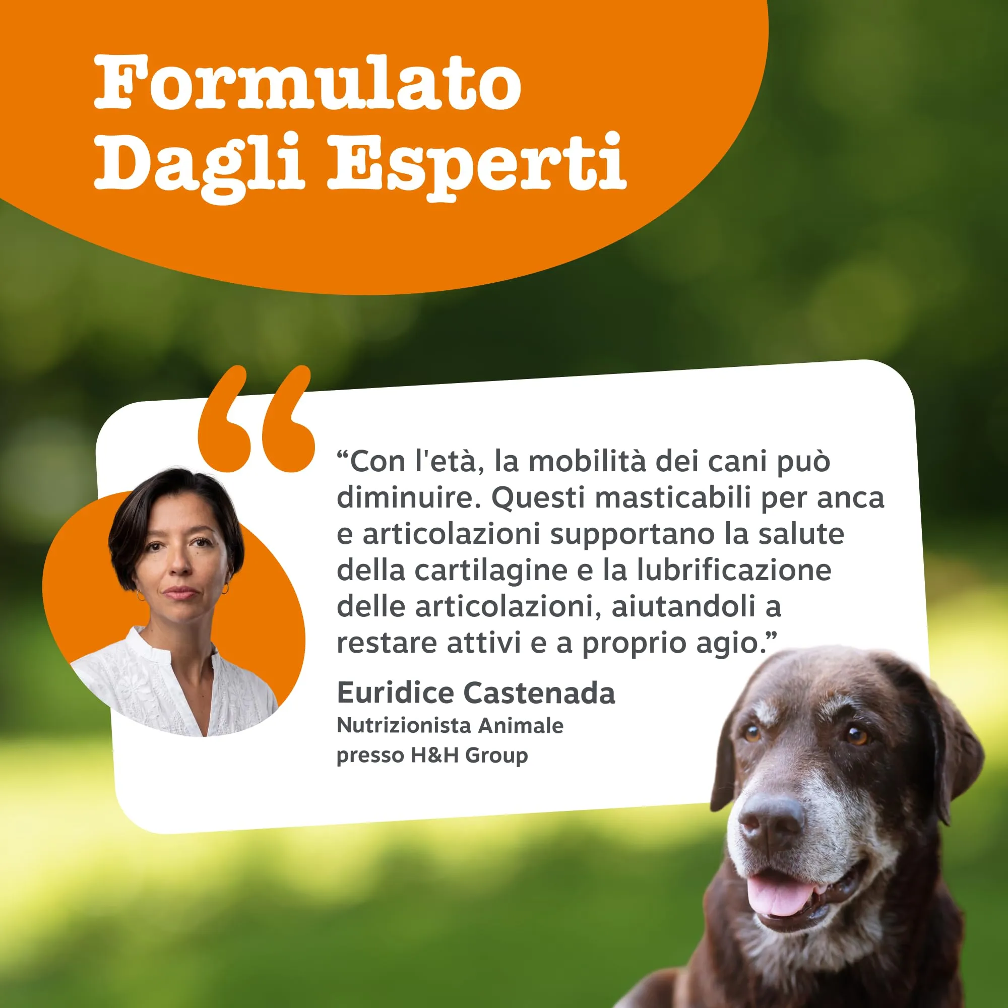 Zesty Paws Hip & Joint per Cani Anziani, Gusto Tacchino, 90 Bocconcini - immagine 5