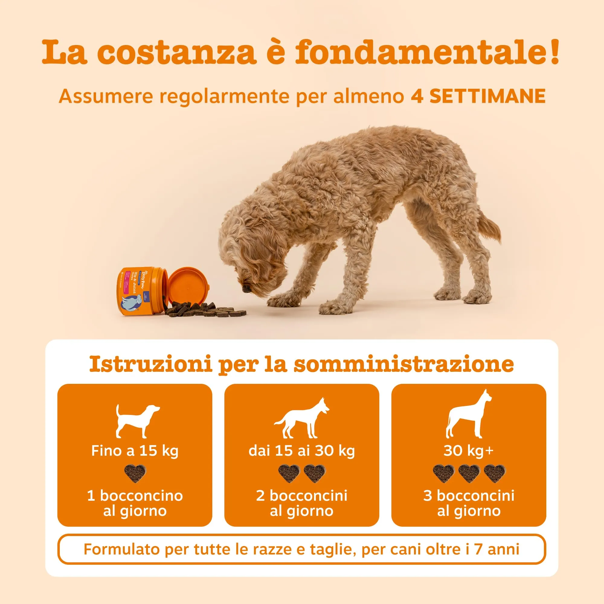 Zesty Paws Hip & Joint per Cani Anziani, Gusto Tacchino, 90 Bocconcini - immagine 9