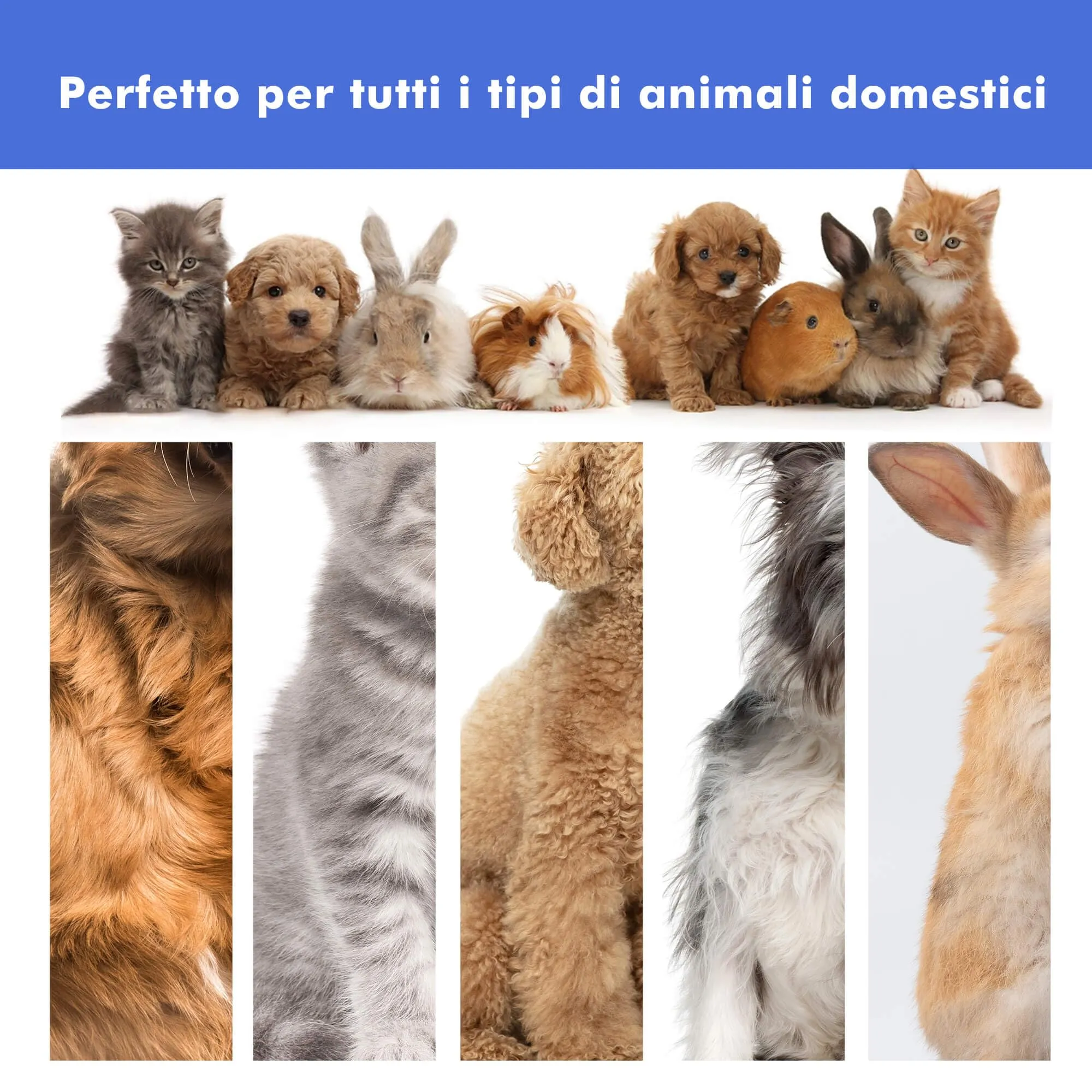 Neakasa P1 Pro Kit Toelettatura e Aspirazione per Animali Domestici, Tosatrice per Cani e Gatti (Bianco) - immagine 8