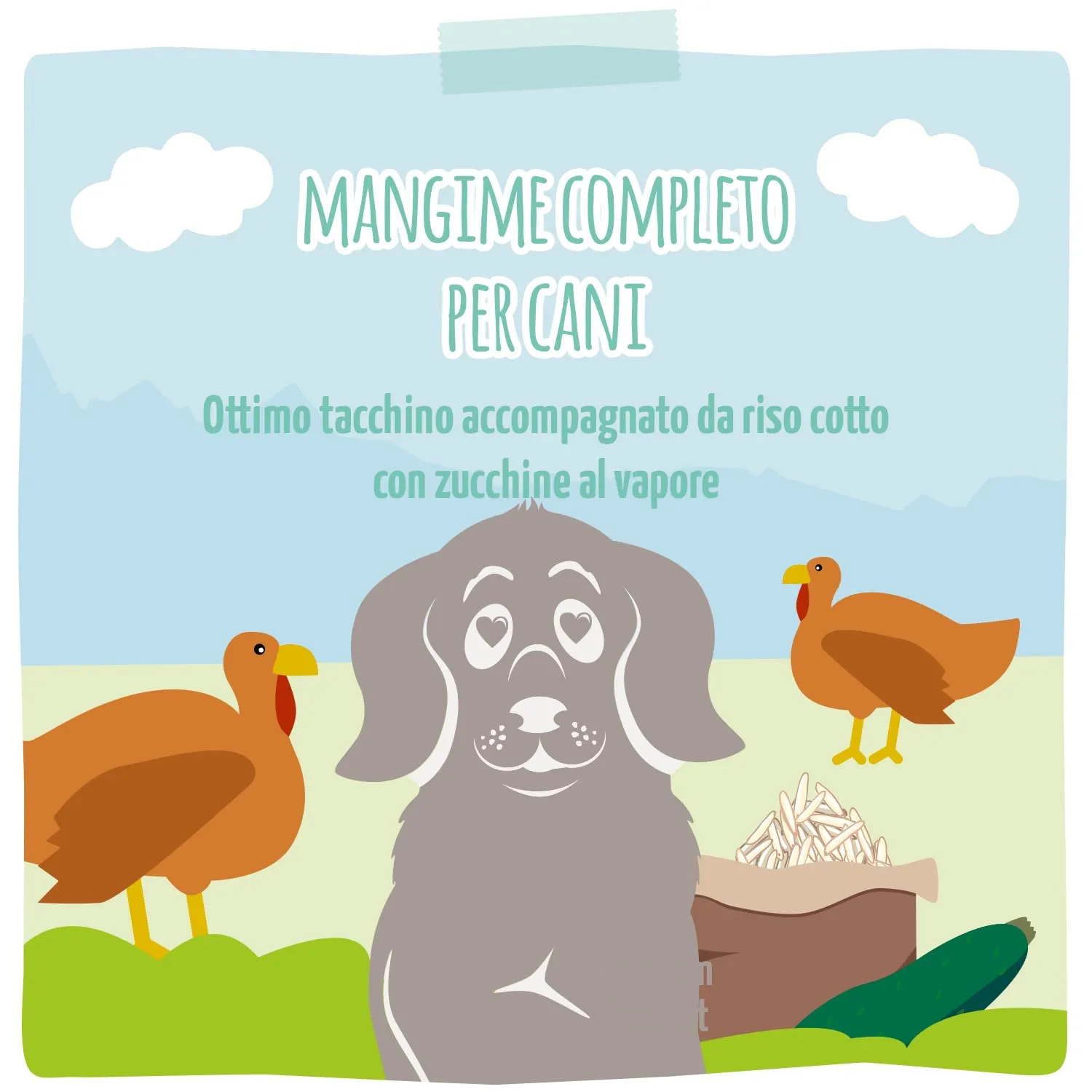 MjAMjAM Cibo Umido per Cani Tacchino su Riso Bollito con Zucchine al Vapore, 6 x 400 g - immagine 5