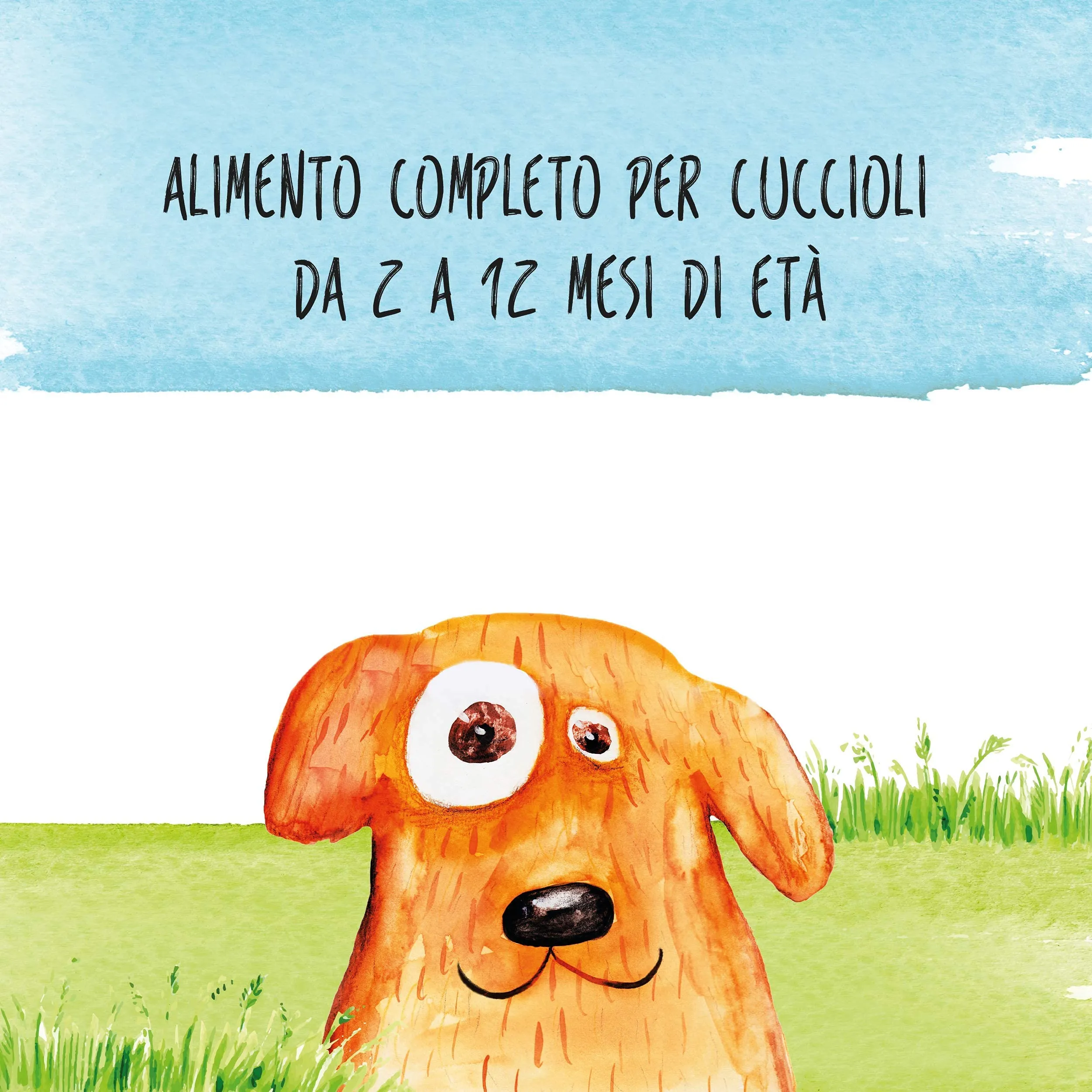 Aldog Puppy Junior Pork and Rice, 12 kg, Medium Breed - immagine 2