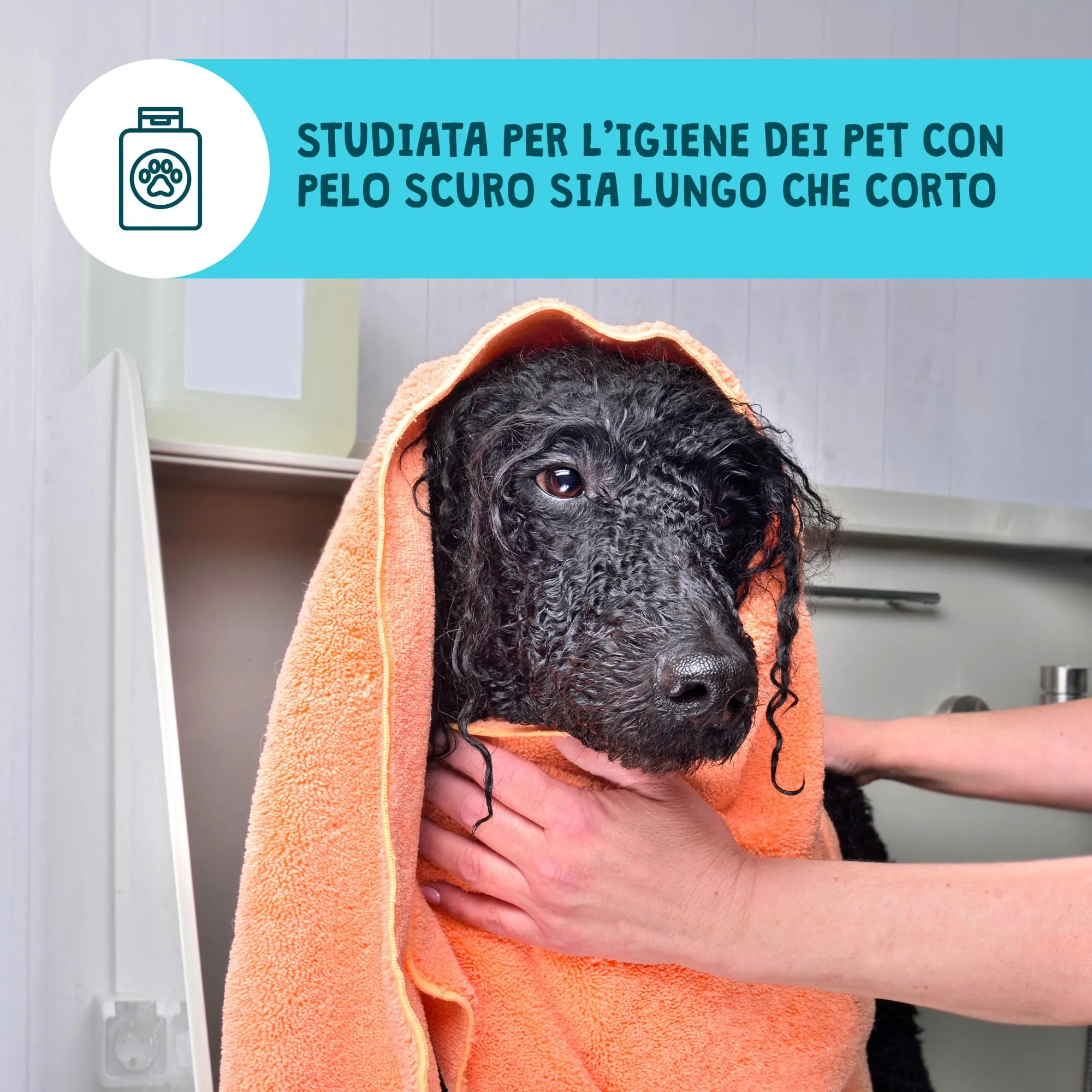 Croci Gill's Shampoo Nuvola Nera per Cani e Gatti dal Pelo Scuro, 200ml - immagine 2