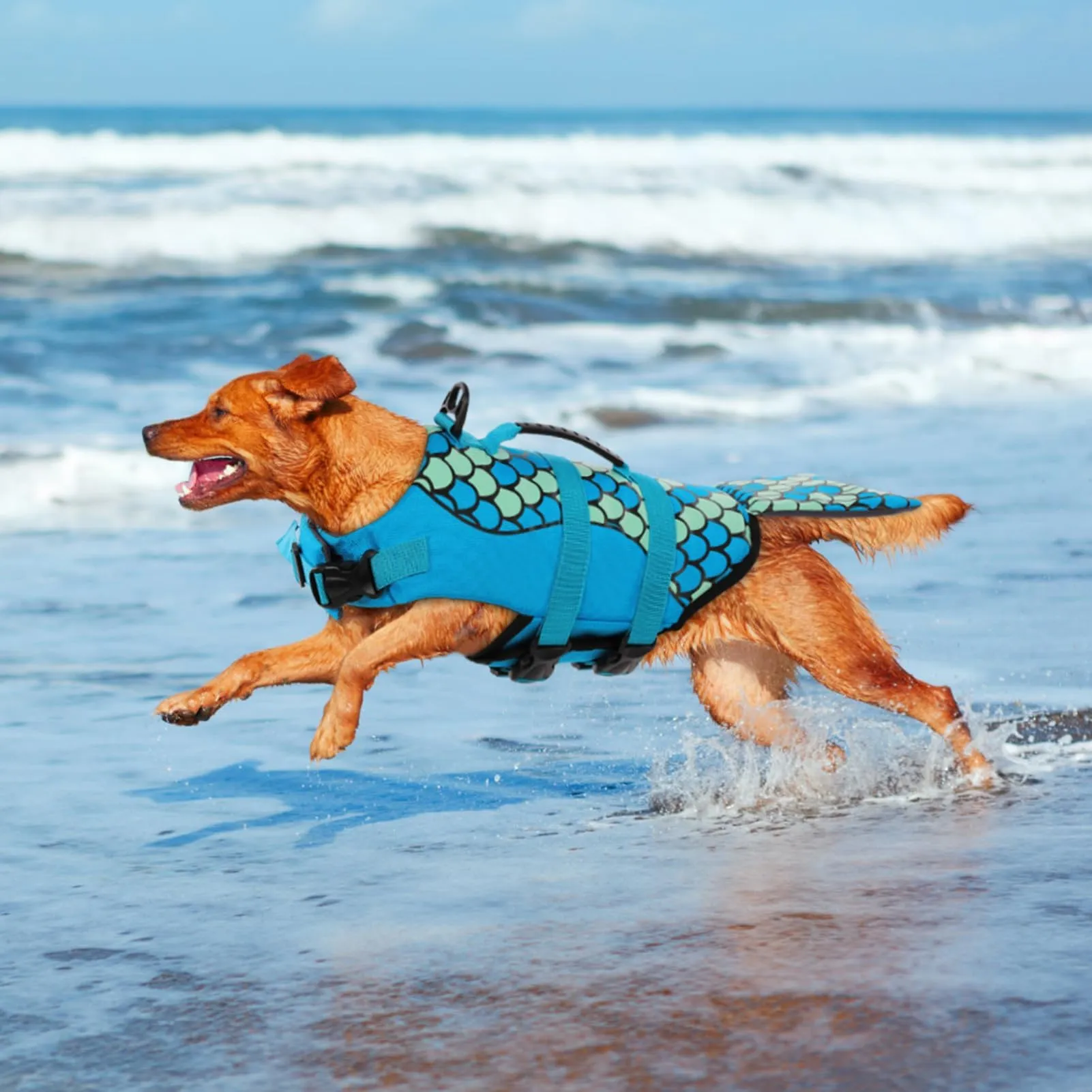 CITÉTOILE Giubbotto di Salvataggio per Cani a Forma di Sirena con Manico, Blu, Taglia M - immagine 6