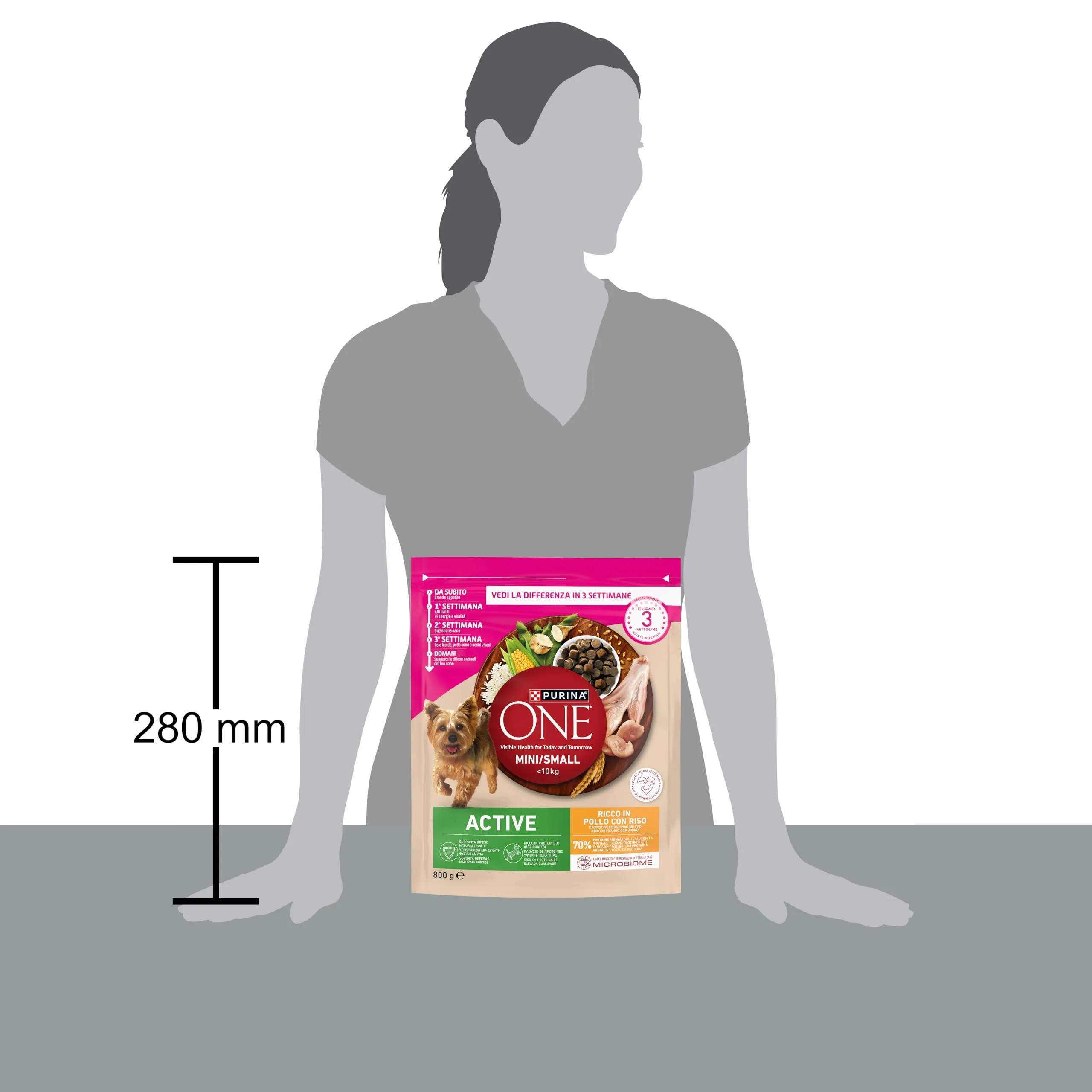 Purina One Mini Active Crocchette per Cani Adulti Pollo e Riso, 800g - immagine 4