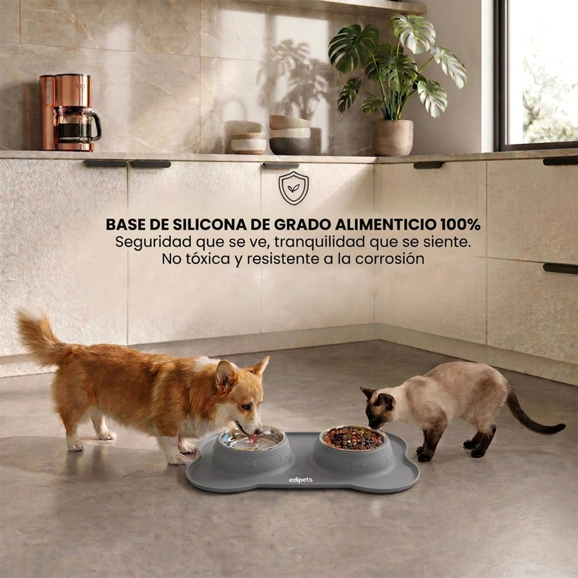 Edipets Ciotole per Cani e Gatti, Doppio Piatto Estraibile in Acciaio Inox con Base in Silicone Antiscivolo, Grigio - 480g - immagine 4