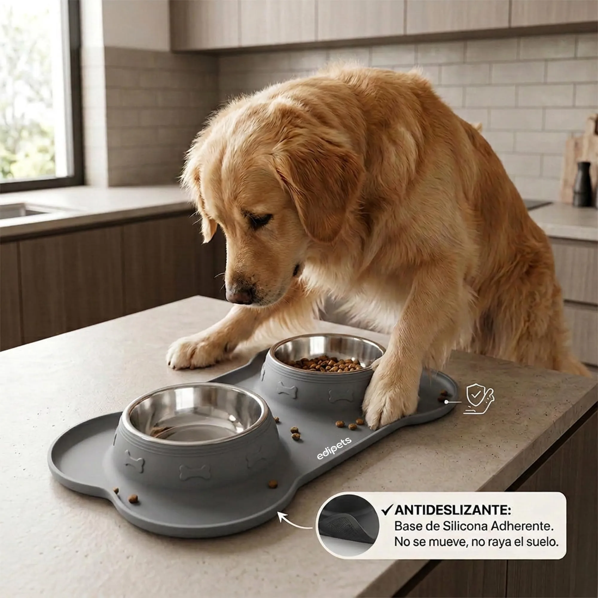 Edipets Ciotole per Cani e Gatti, Doppio Piatto Estraibile in Acciaio Inox con Base in Silicone Antiscivolo, Grigio - 480g - immagine 5