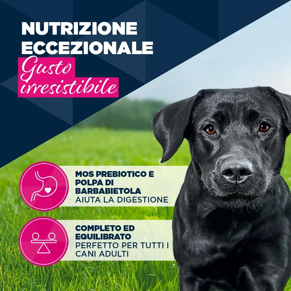 Eukanuba Cibo Umido per Cani Adulti Tacchino e Carota, 6 x 400 g - immagine 3