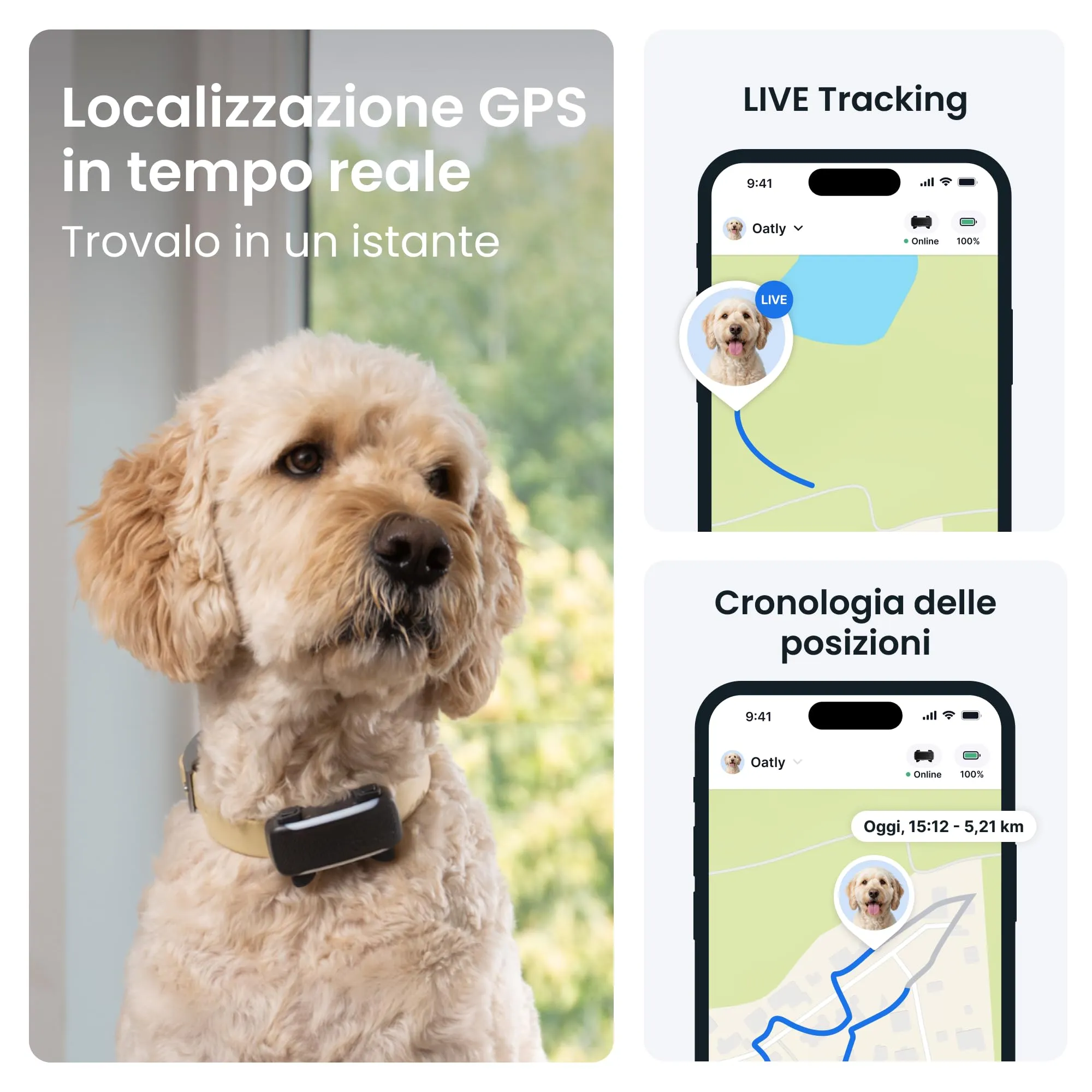 Tractive GPS Cane Intelligente XL Edizione 2026 (Nero) - immagine 2