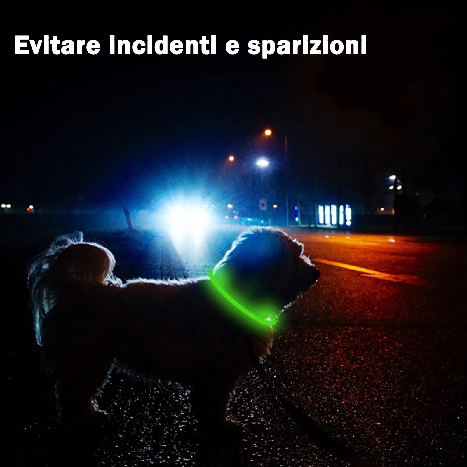 Nepfaivy Collare Luminoso a LED per Cani, Ricaricabile, Impermeabile e Regolabile, 3 Modalità di Lampeggio, Verde, XL (70cm) - immagine 6