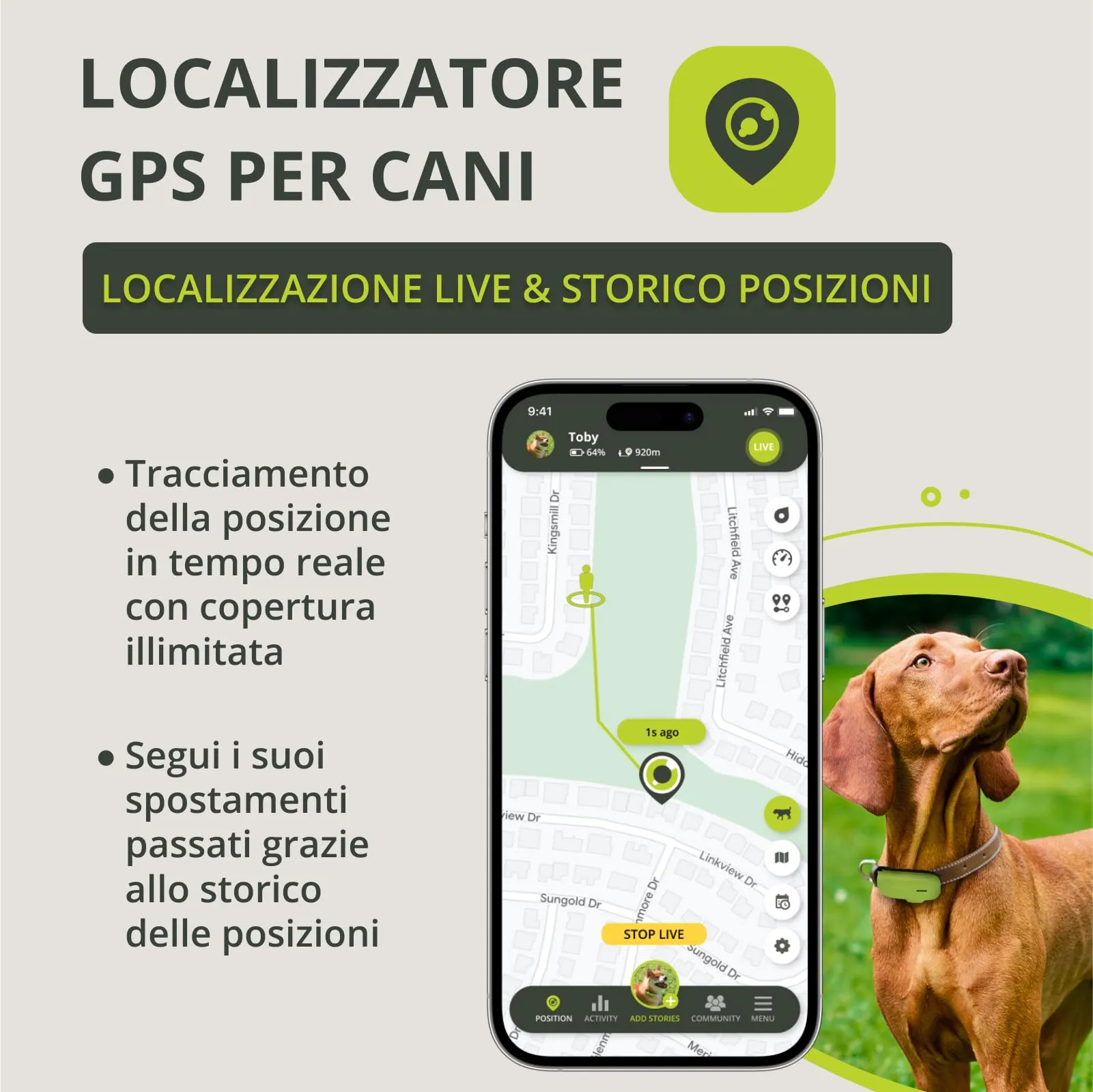 Kippy GPS per Cani - Localizzatore Impermeabile per Collare con Tracker di Attività, Salute e Recinto Virtuale - Verde - immagine 2