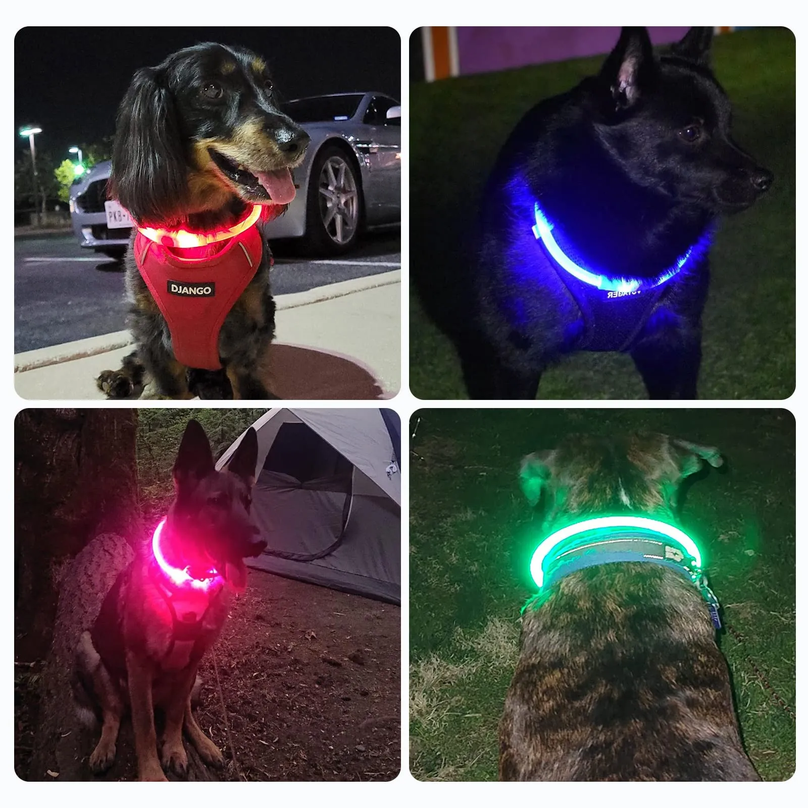Nepfaivy Collare Luminoso per Cani a LED Ricaricabile, Impermeabile e Regolabile, 3 Modalità di Lampeggio, Rosso, XL (70cm) - immagine 7