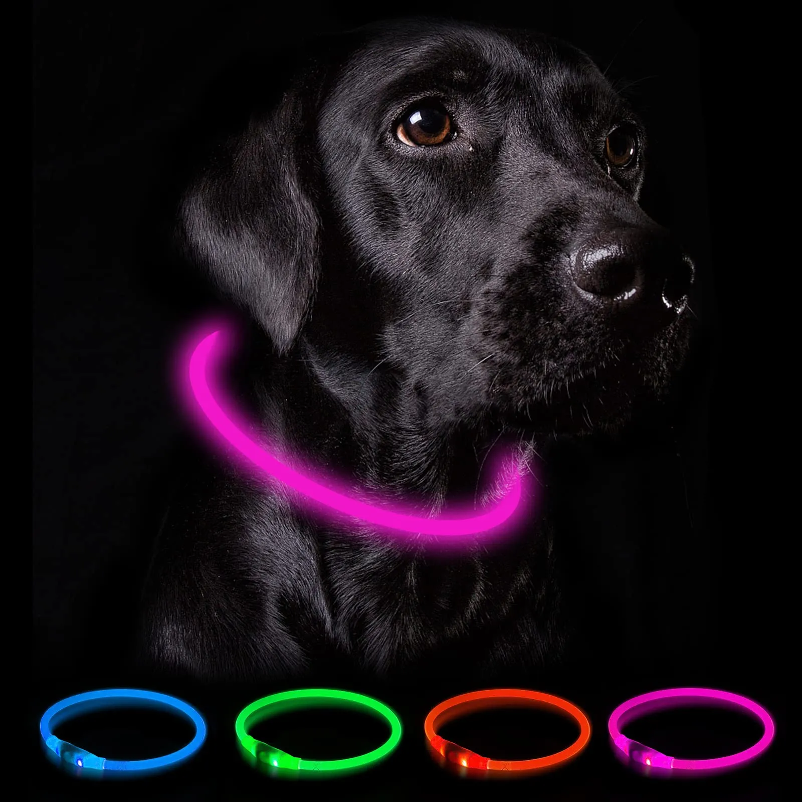 Nepfaivy Collare Luminoso a LED per Cani, Ricaricabile, Impermeabile e Regolabile, 3 Modalità di Lampeggio, Blu, XL (70cm) - immagine 1