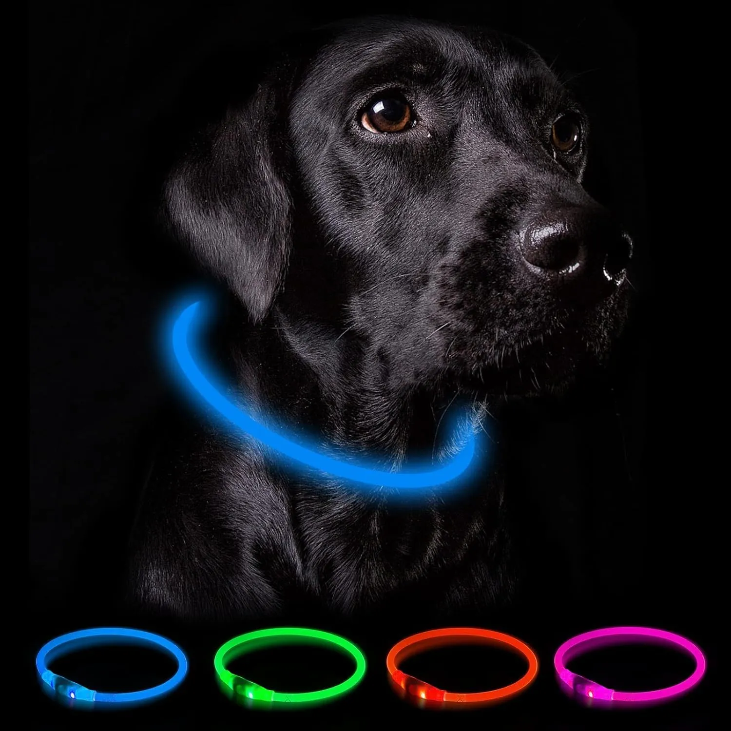 Nepfaivy Collare Luminoso a LED per Cani, Ricaricabile, Impermeabile e Regolabile, 3 Modalità di Lampeggio, Blu, XL (70cm) - immagine 1