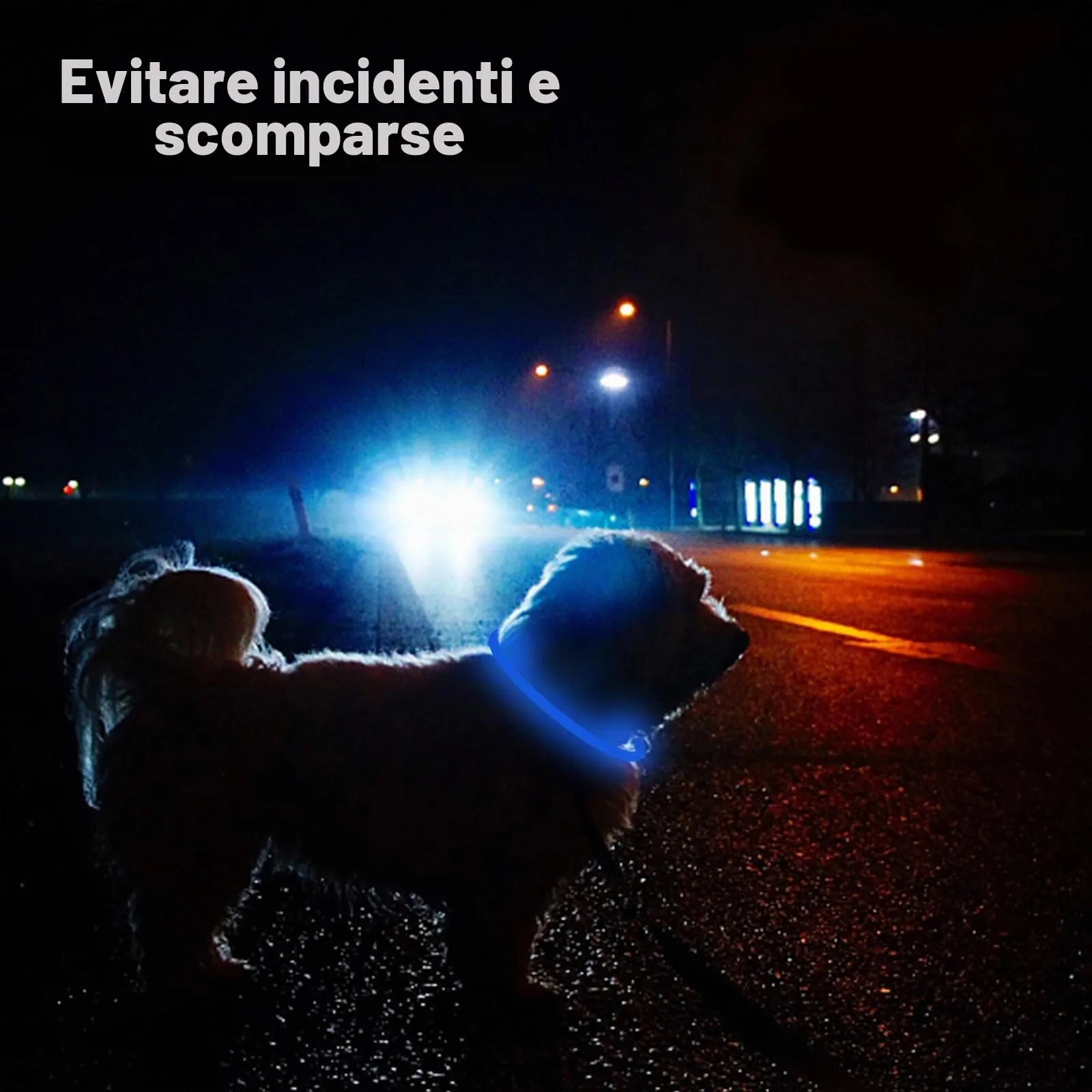 Nepfaivy Collare Luminoso a LED per Cani, Ricaricabile, Impermeabile e Regolabile, 3 Modalità di Lampeggio, Blu, XL (70cm) - immagine 6