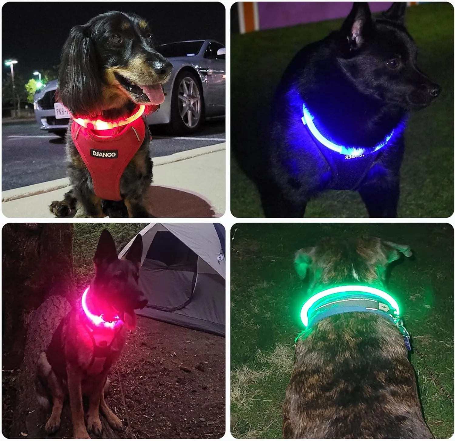 Nepfaivy Collare Luminoso a LED per Cani, Ricaricabile, Impermeabile e Regolabile, 3 Modalità di Lampeggio, Blu, XL (70cm) - immagine 7