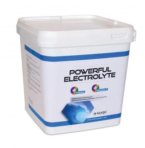 MASC Powerful Electrolyte 1 kg - immagine 2