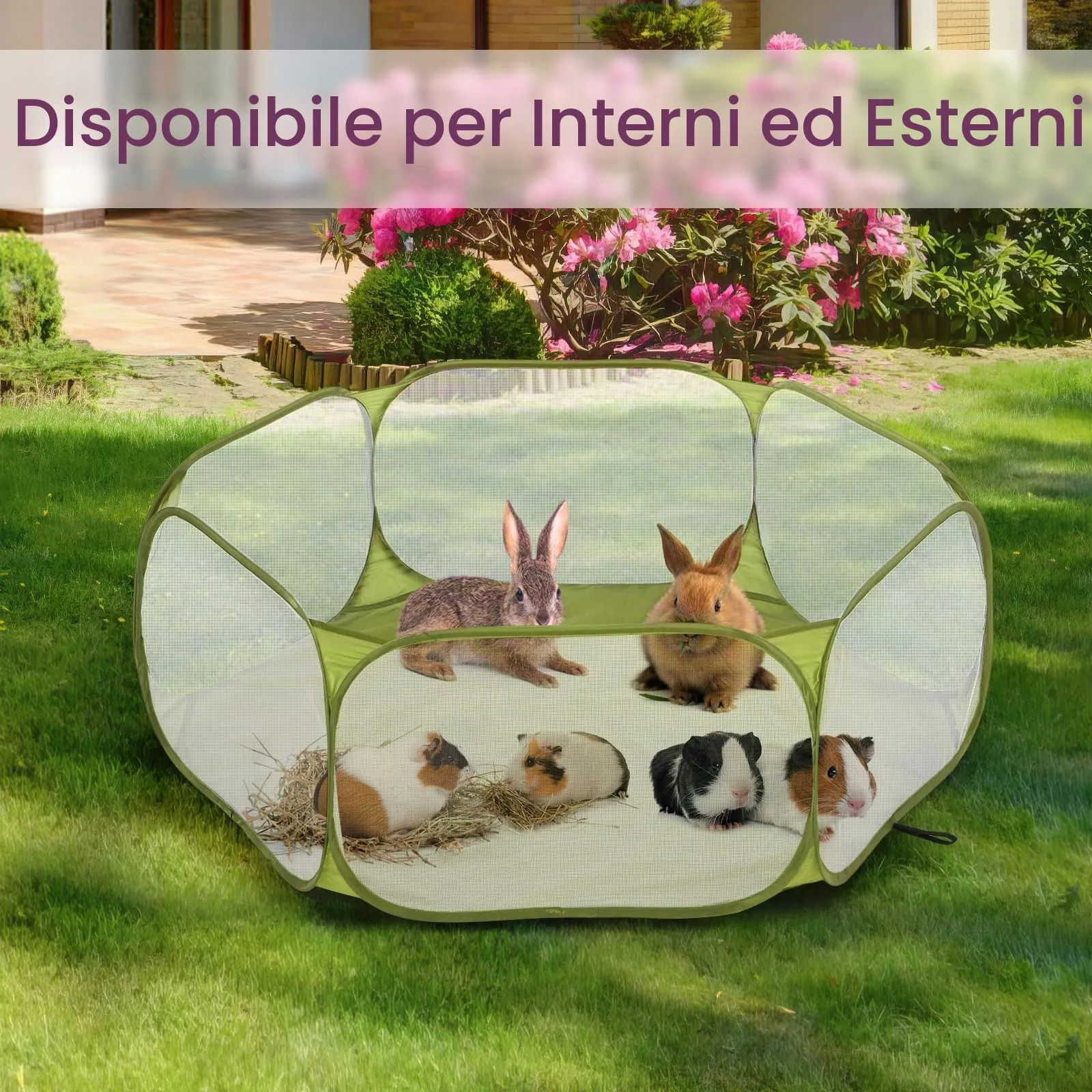 Pawaboo Recinto per Piccoli Animali, Verde - immagine 5