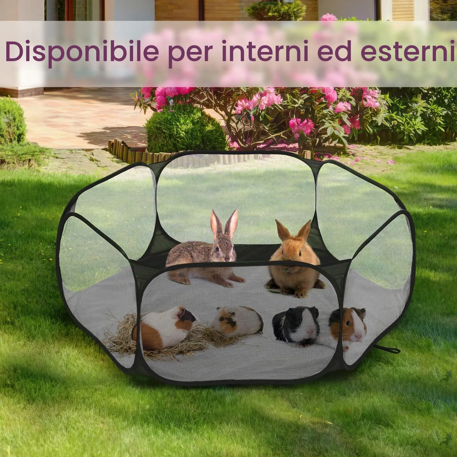Pawaboo Recinto per piccoli animali, Nero - immagine 5