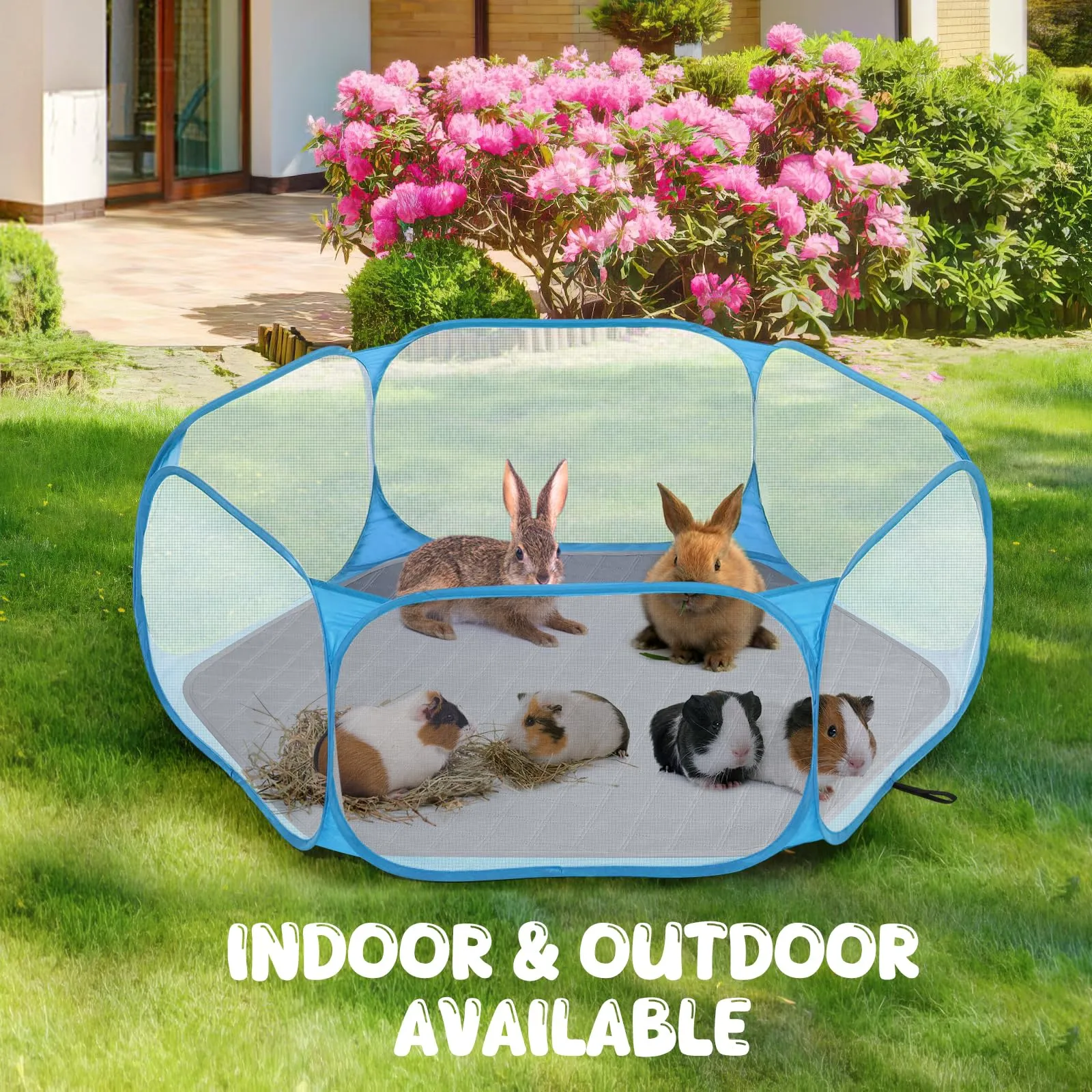 Pawaboo Recinto per Piccoli Animali con Tappetino, Blu/Grigio - immagine 6