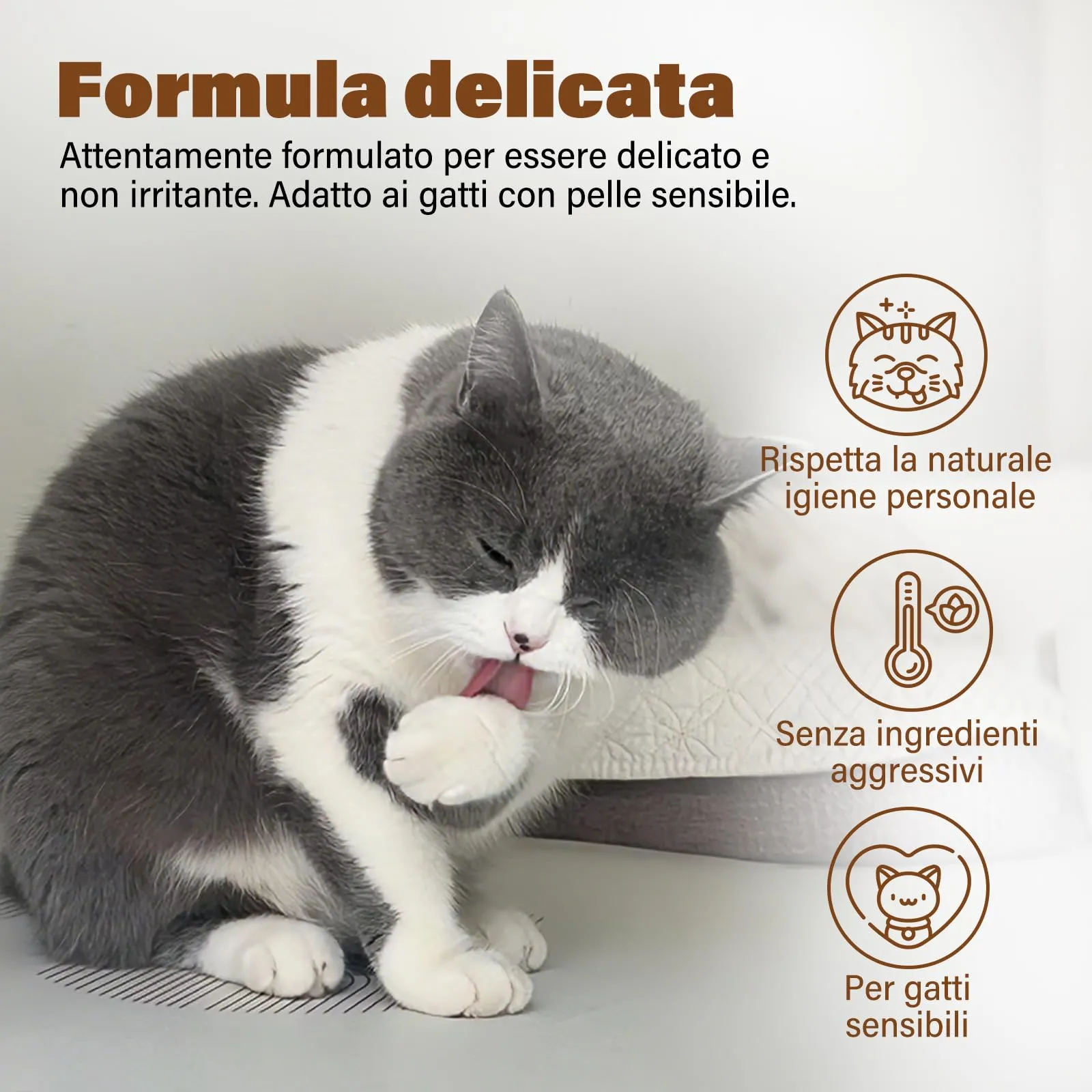GJYC PET Shampoo Secco per Gatti, Noce di Cocco, pH Neutro, 200 ml - immagine 3