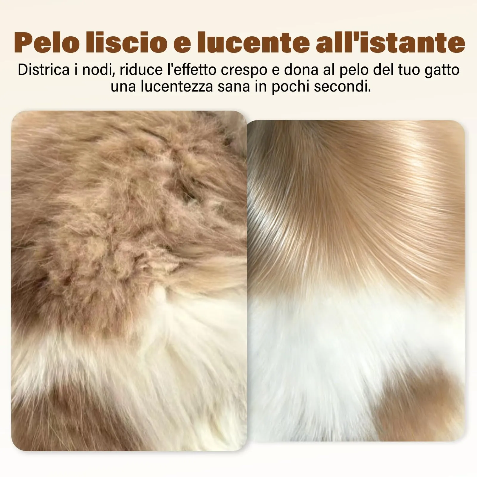 GJYC PET Shampoo Secco per Gatti, Noce di Cocco, pH Neutro, 200 ml - immagine 5