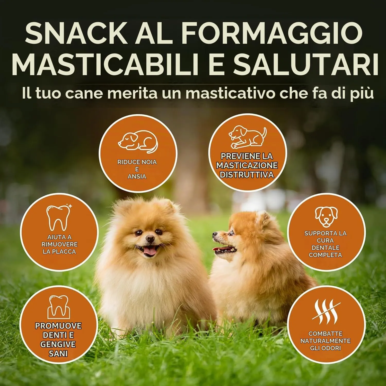 Wildfang Stick da masticare di formaggio duro per cani, 42 g (Confezione da 2) - immagine 4